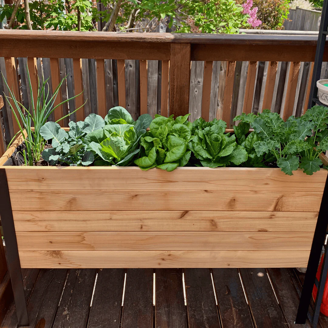 18" x 48" Raised Garden Bed - 30" TALL - Image 12