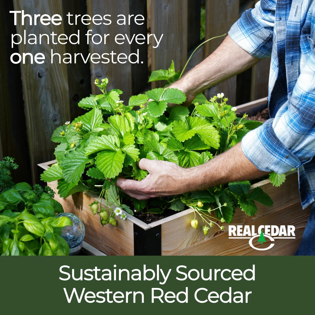 18" x 48" Raised Garden Bed - 30" TALL - Image 9