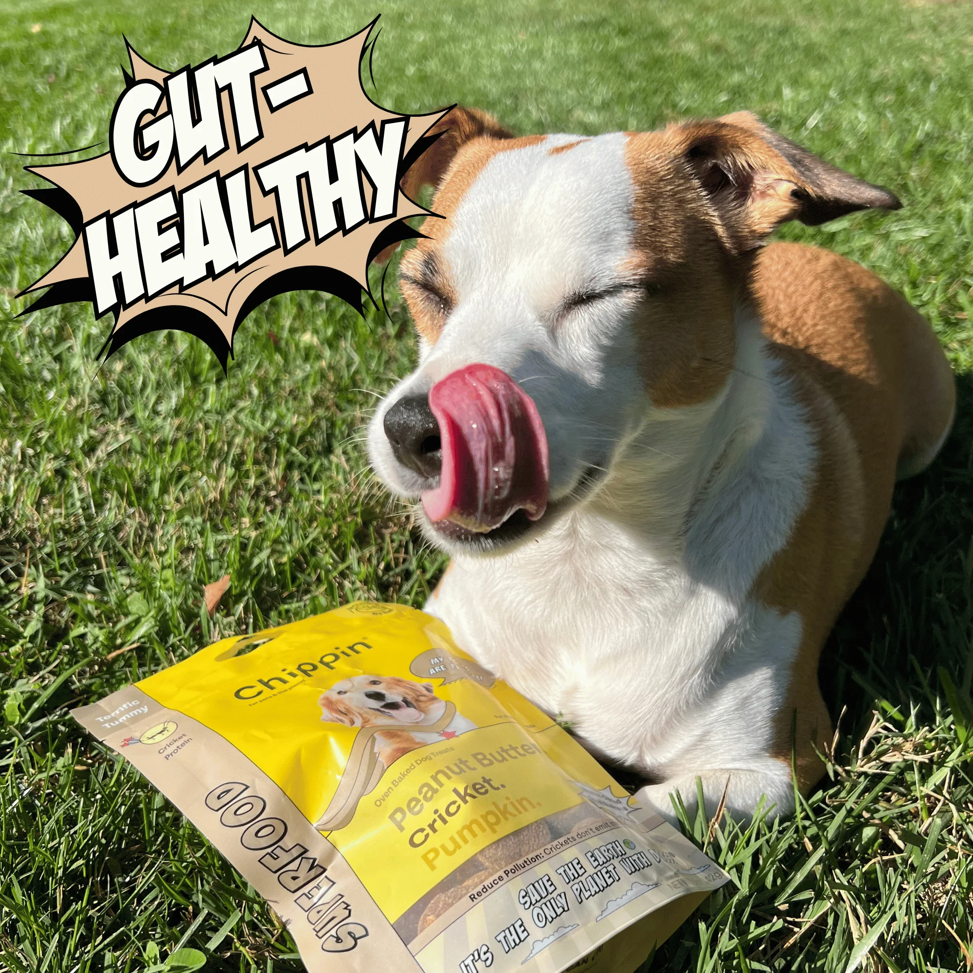 Allergy-Friendly Dog Treats, 6-Pack - Image 2
