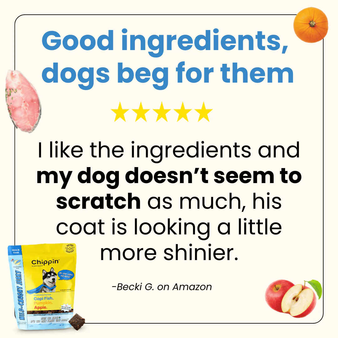 Allergy-Friendly Dog Treats, 6-Pack - Image 7