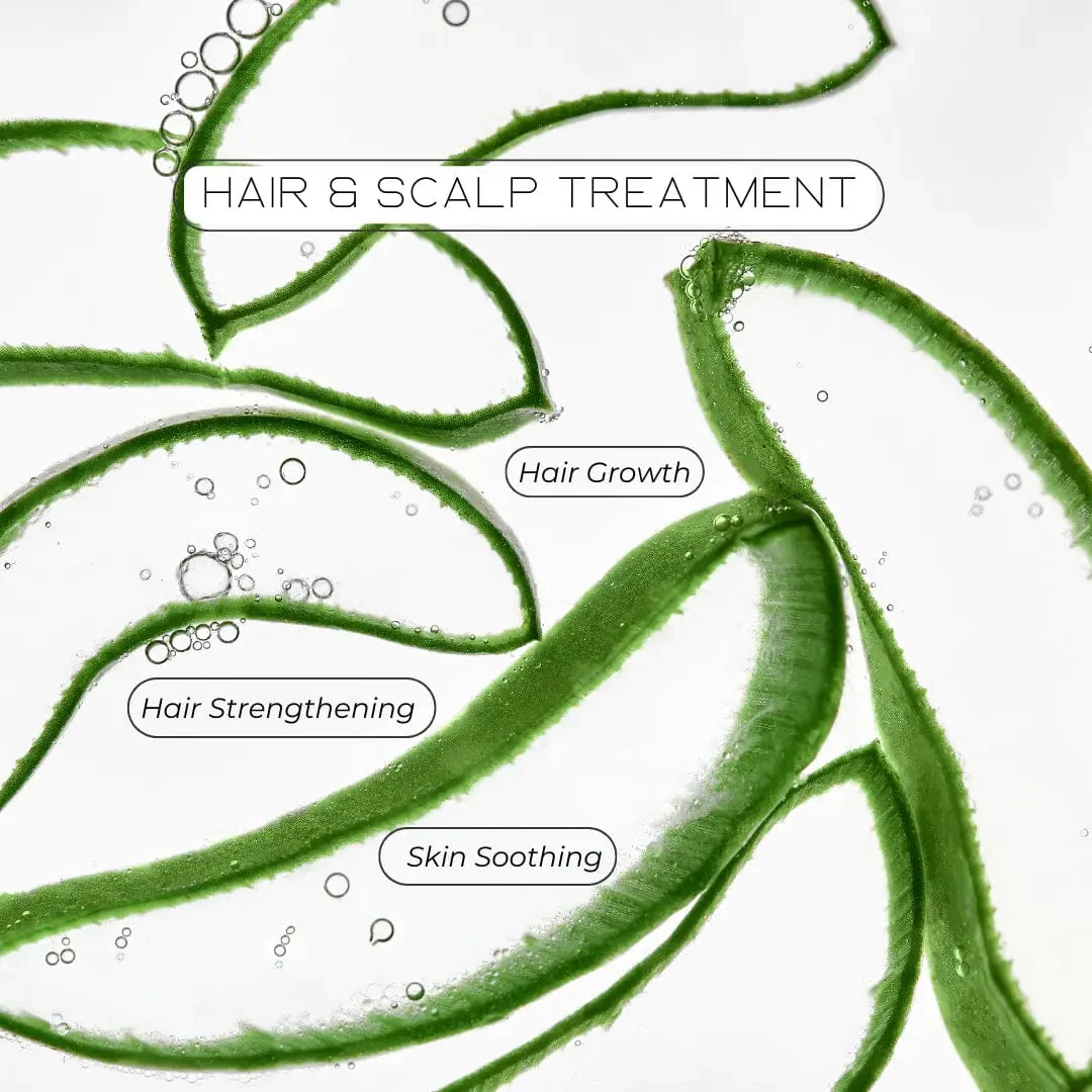 All Natural Aloe Vera Hair and Body Oil - Image 3