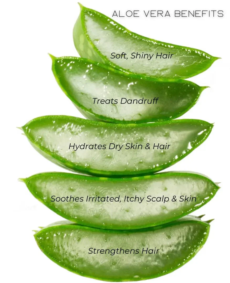 All Natural Aloe Vera Hair and Body Oil - Image 5
