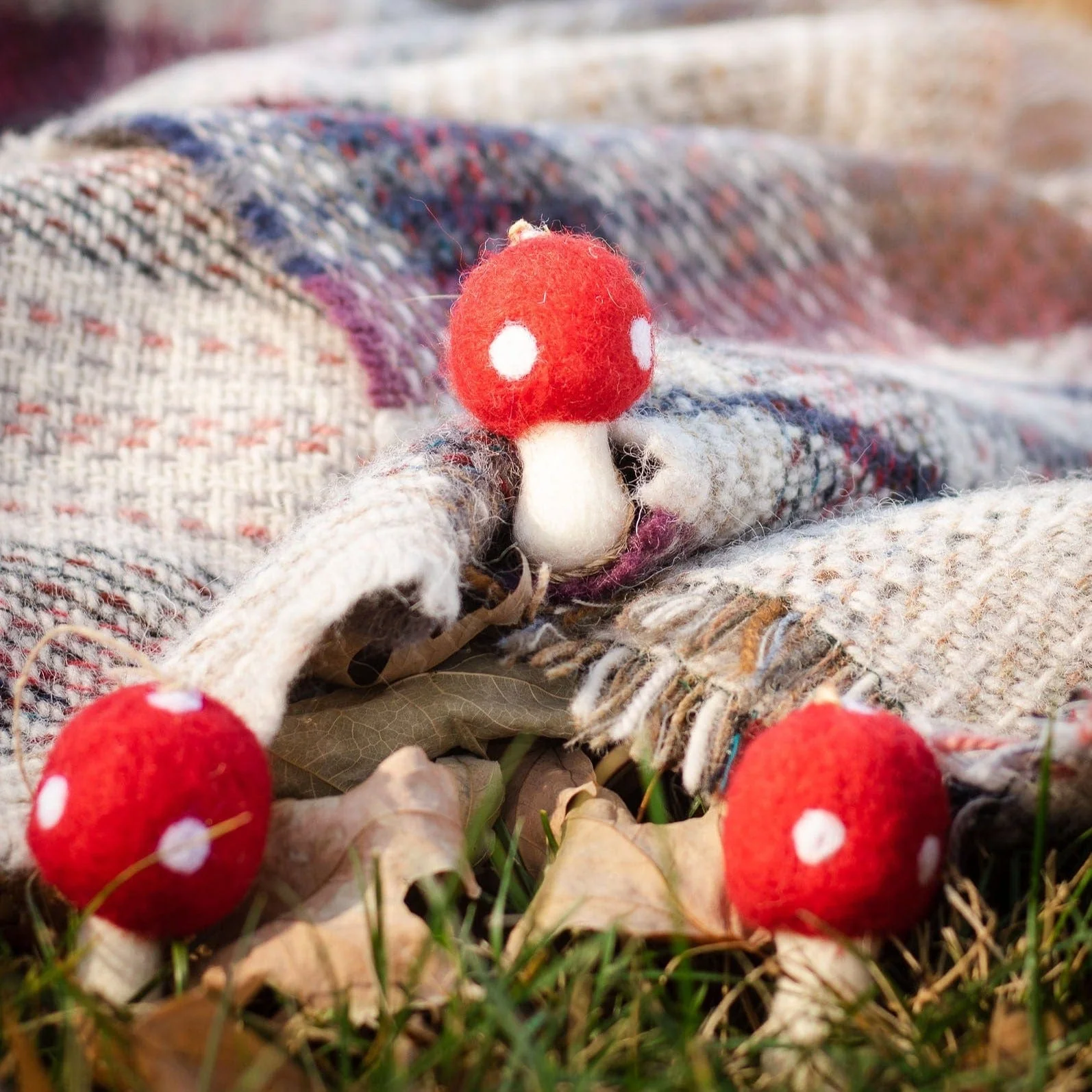 Amanita Mushrooms - Set of 3 - Image 2