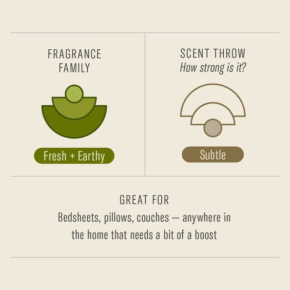 Amber and Moss Room & Linen Spray - Image 3