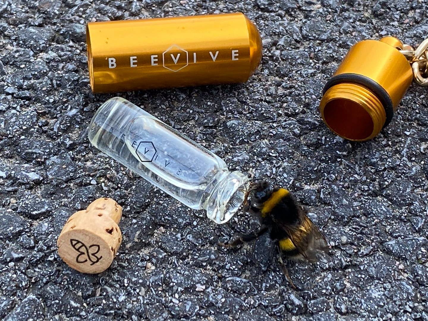 Bee Revival Kit - Butterfly & Bee Reviver Keychain - Image 17