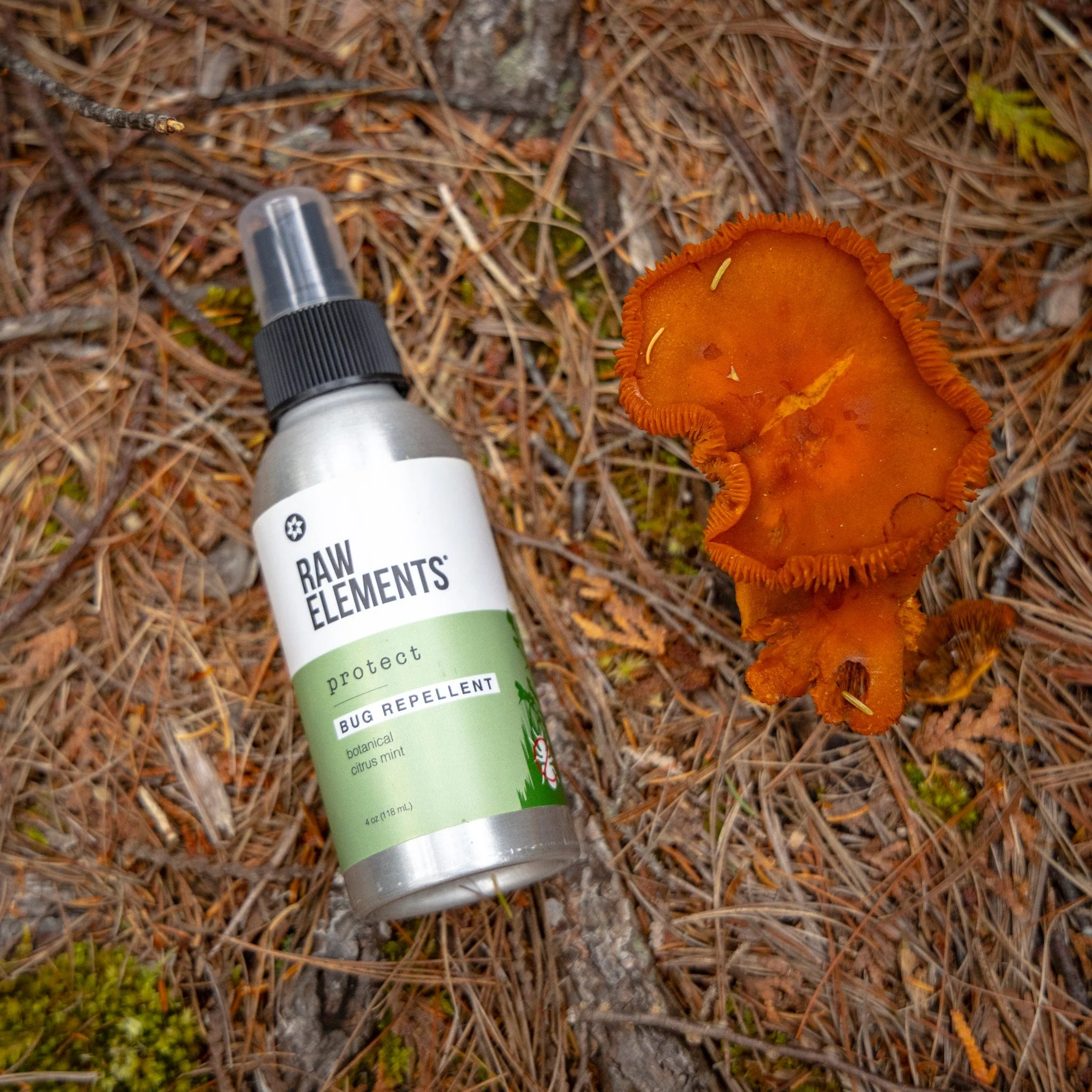 Natural Bug Repellent Spray - 2 Pack (4oz each) - Image 2
