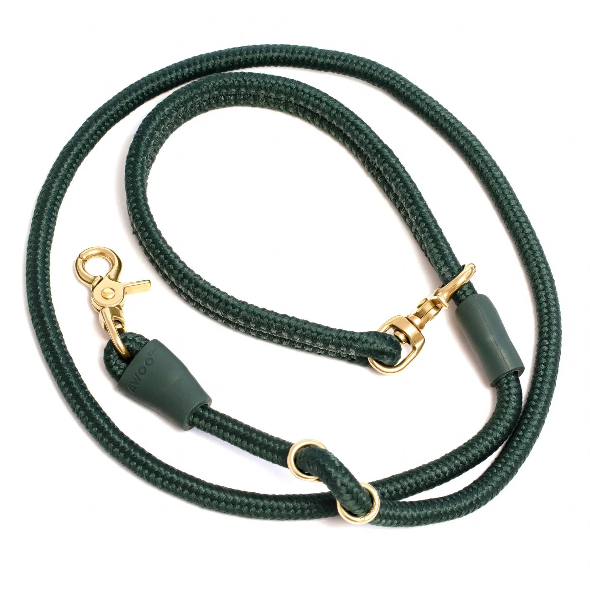 City Dog Leash