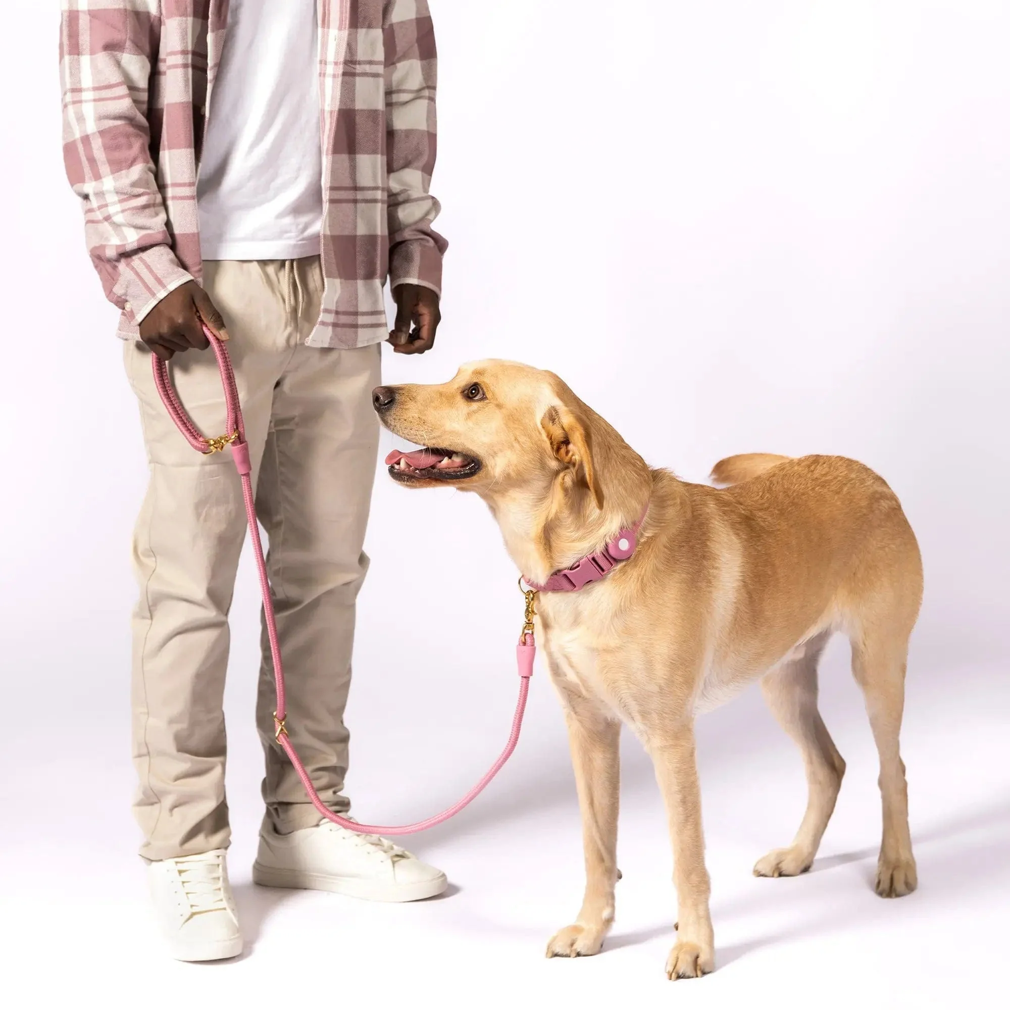 City Dog Leash - Image 13