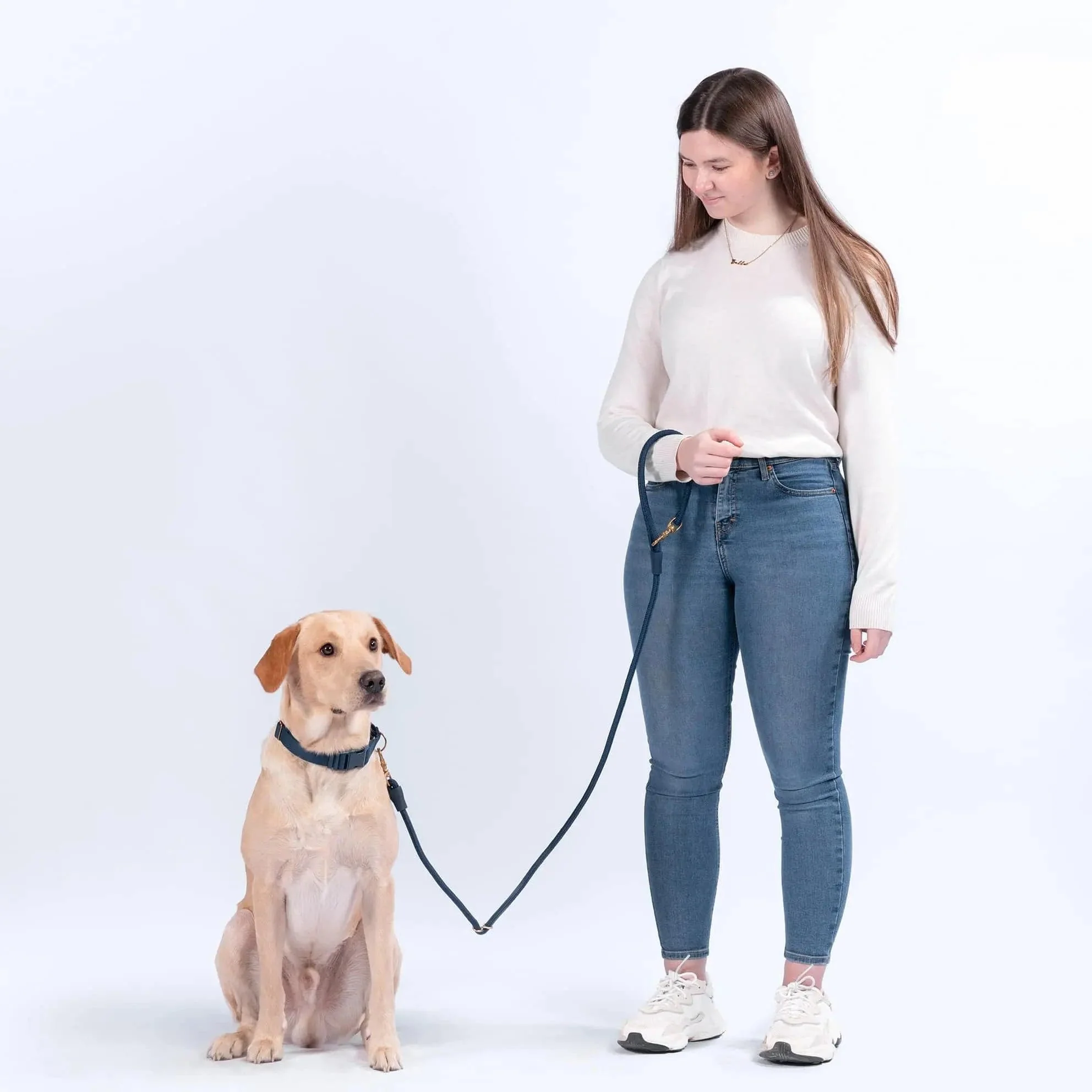 City Dog Leash - Image 3