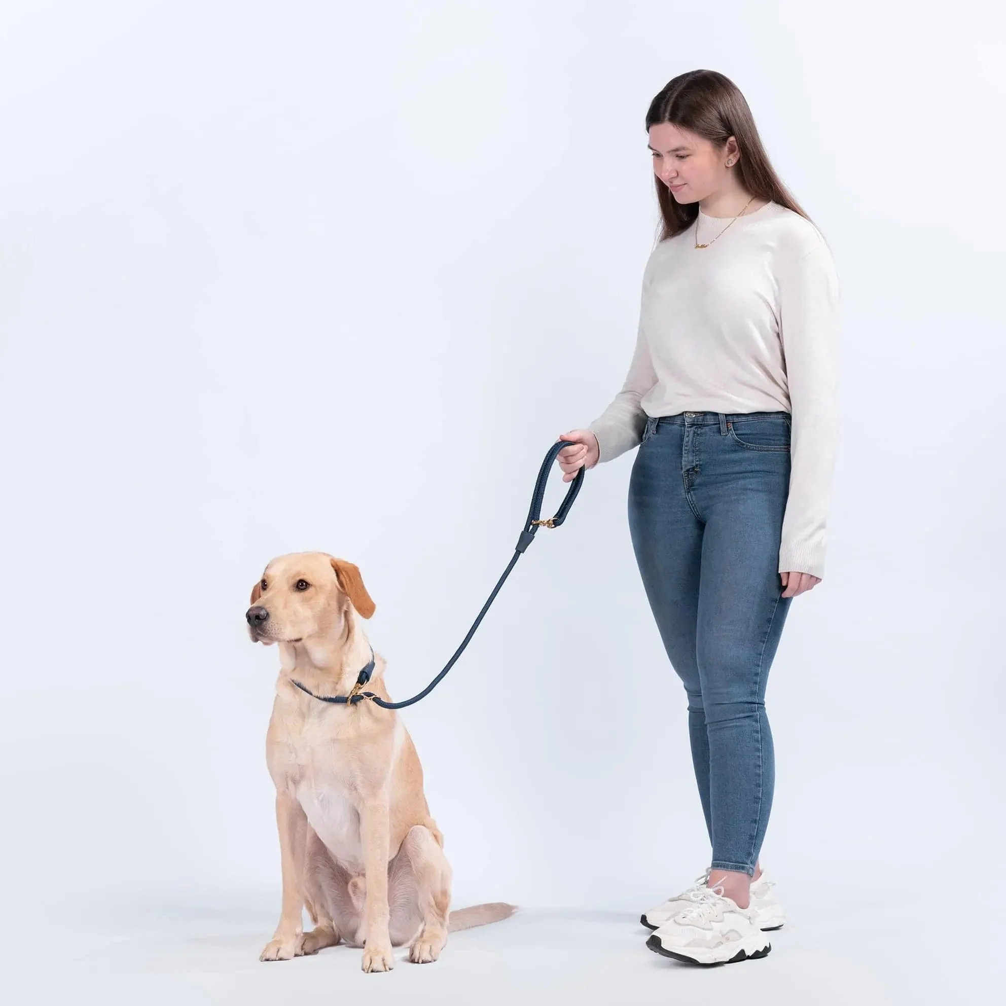 City Dog Leash - Image 5