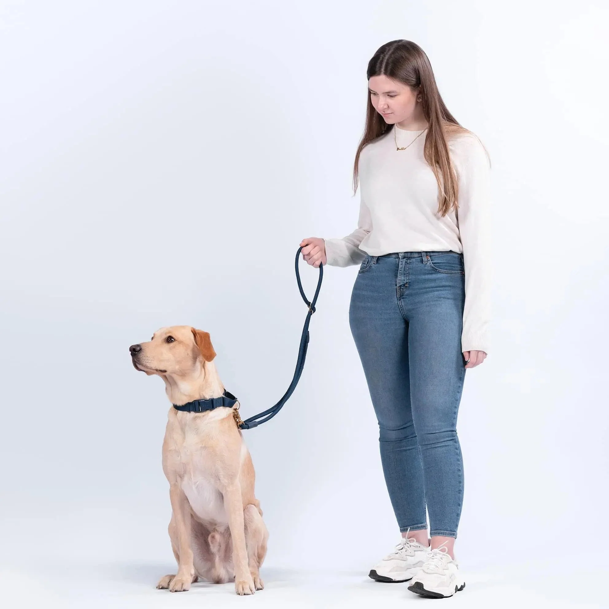 City Dog Leash - Image 6