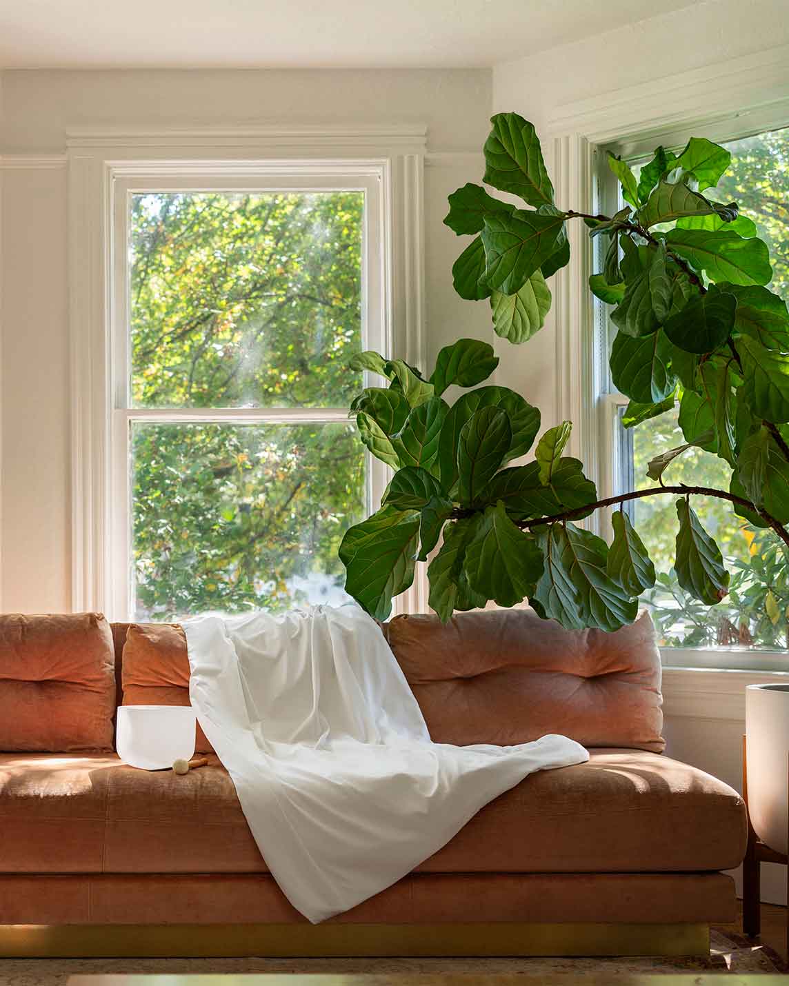 Cotton Duvet Cover - Image 11