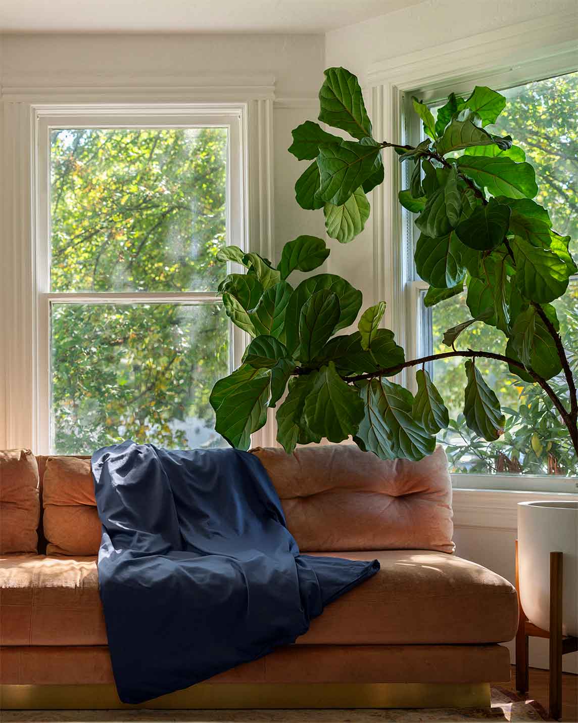 Cotton Duvet Cover - Image 16