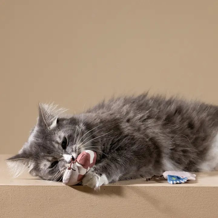Critters Cat Toys - Catch Me if you Can - Image 4