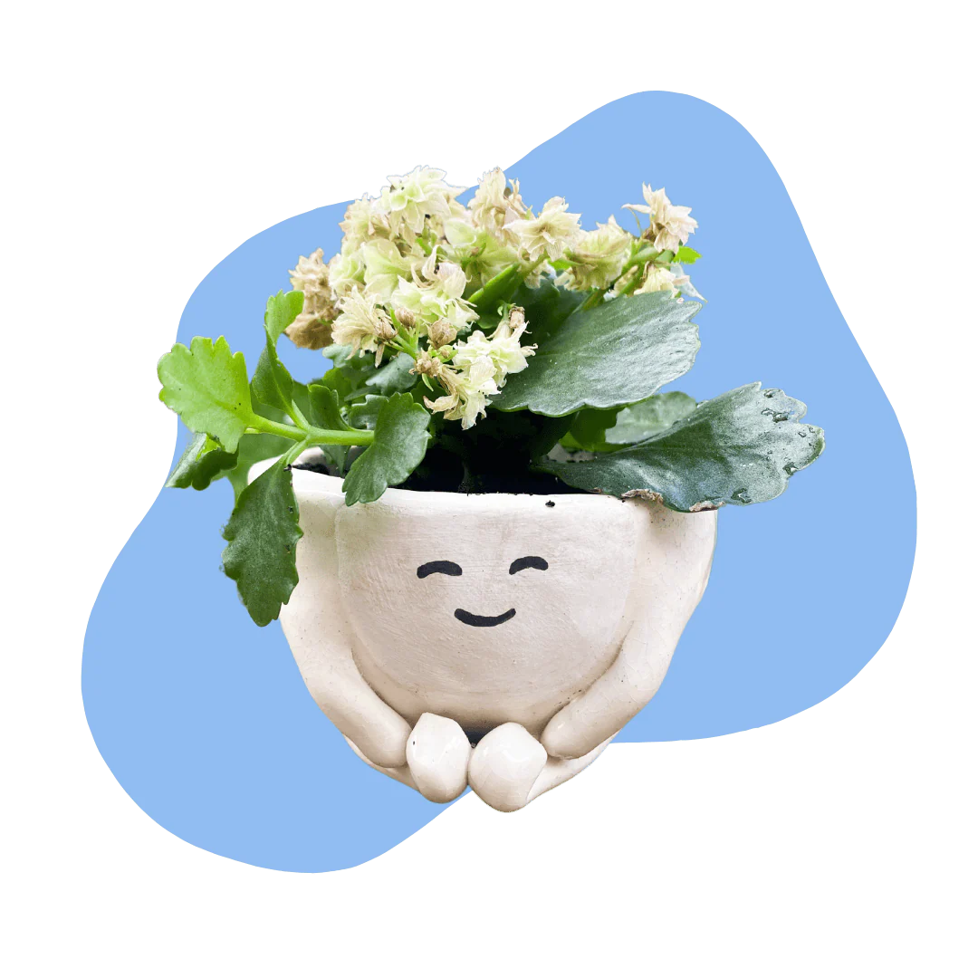 Deluxe Pottery Kit – Air Dry - Image 4