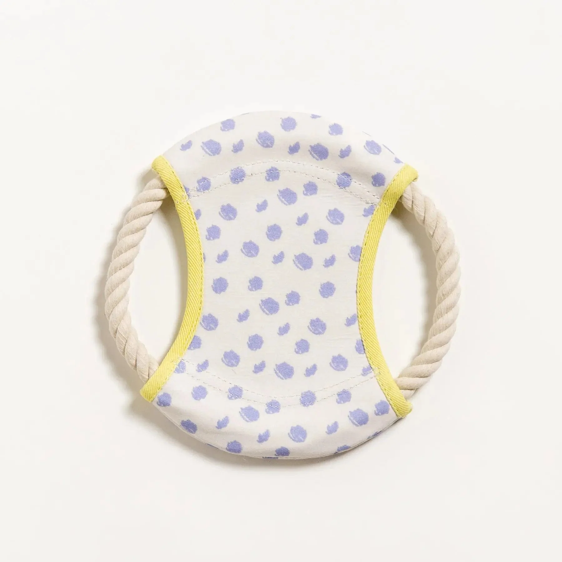 Dizzy Disc Canvas Frisbee