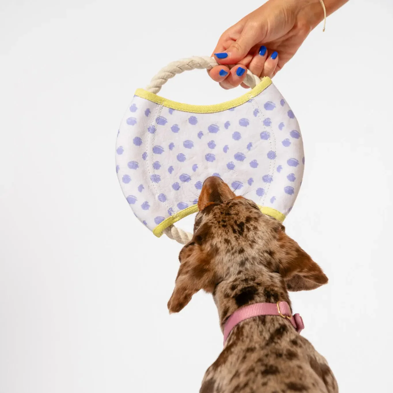 Dizzy Disc Canvas Frisbee - Image 2
