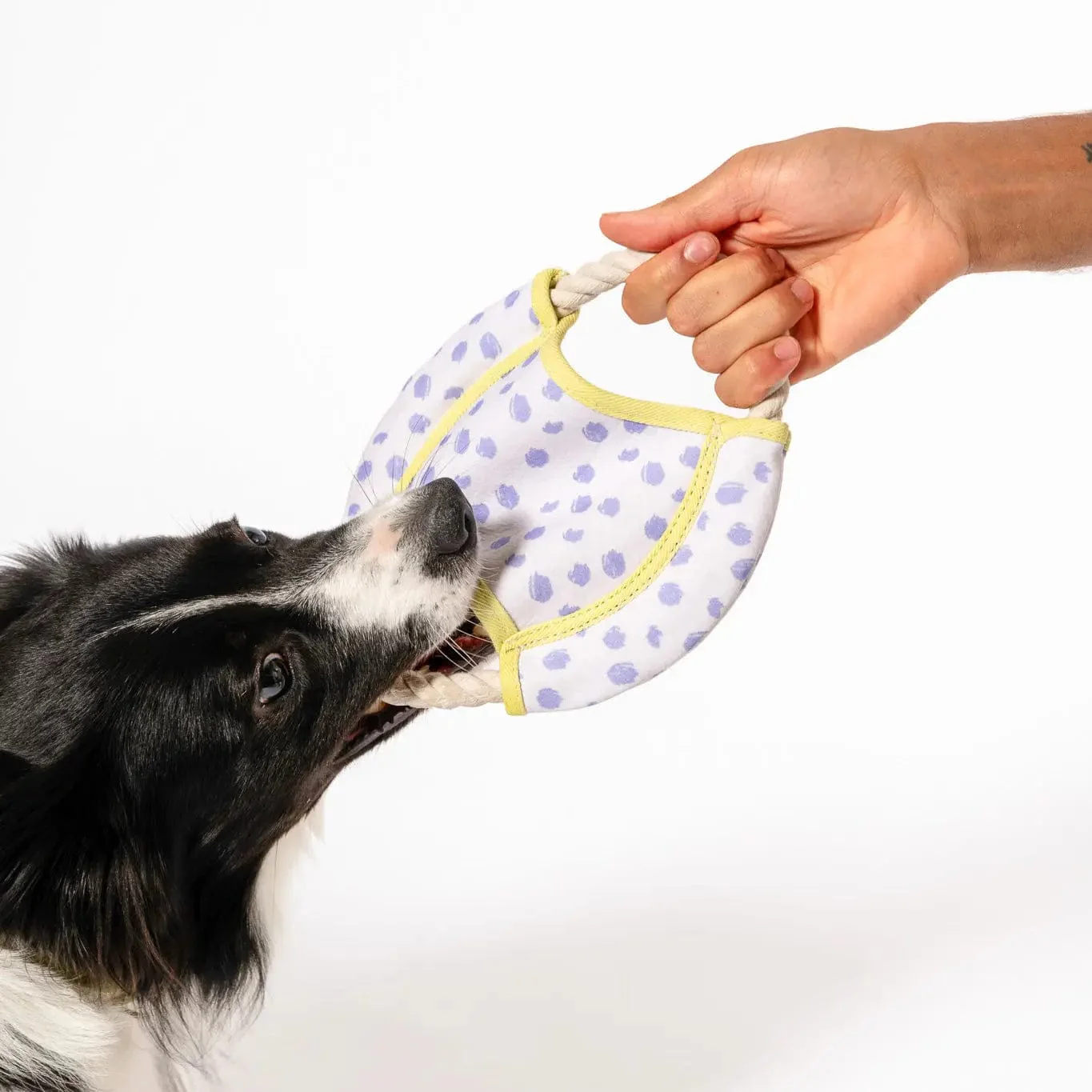 Dizzy Disc Canvas Frisbee - Image 3