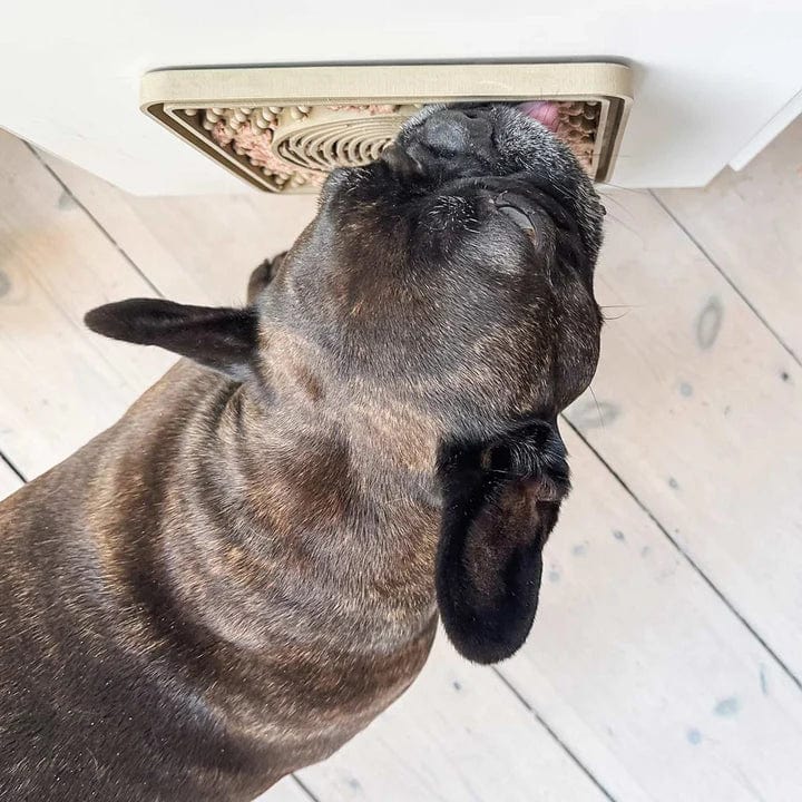 Dog Licking Mat - Image 4