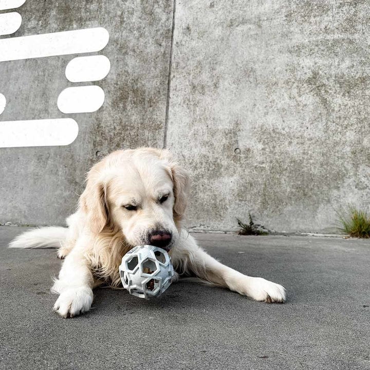 Enrichment & Fetch Dog Toy - Image 4