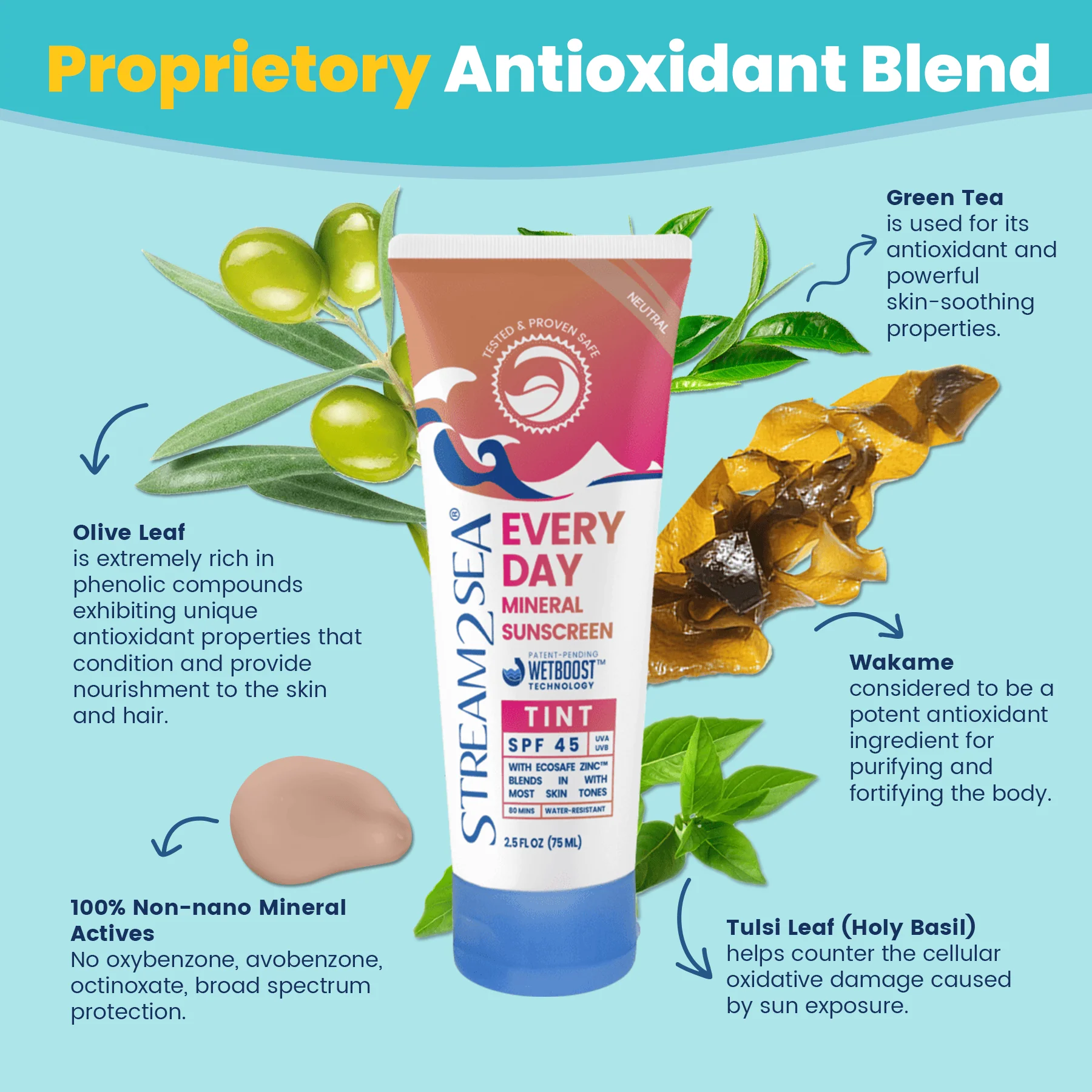 Every Day Sunscreen SPF 45 - Tint - Image 7