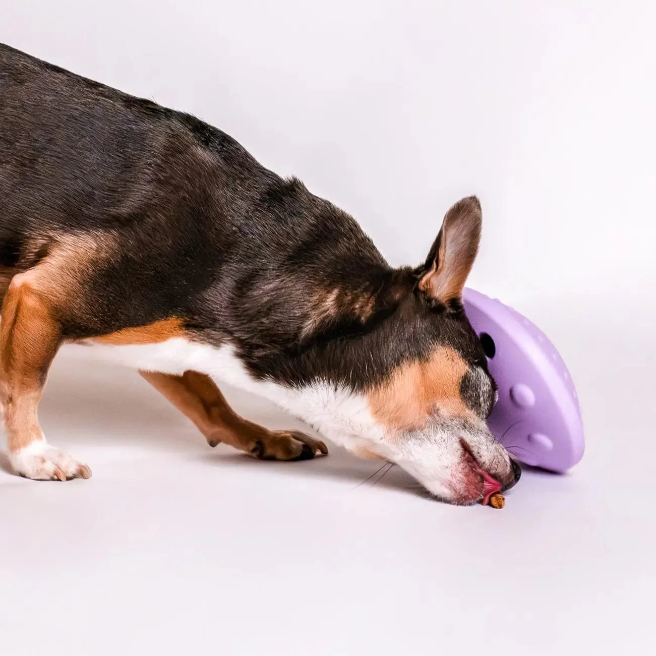 Flying Saucer Toy - Image 3