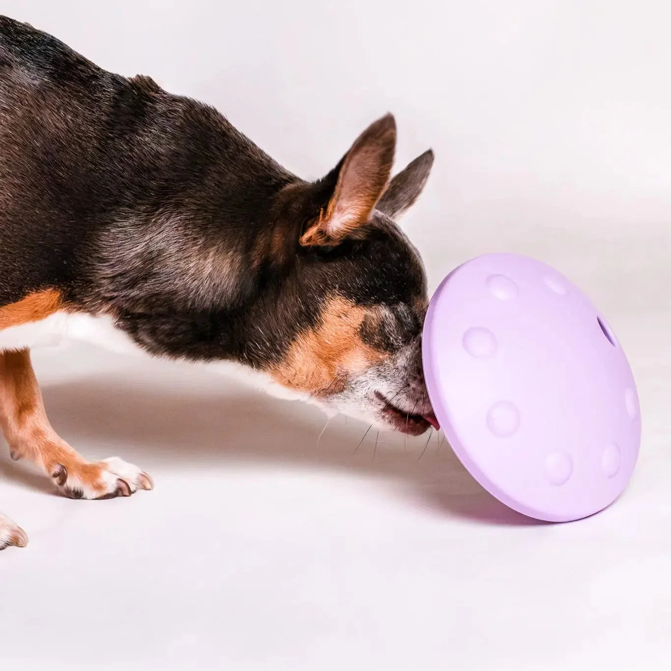 Flying Saucer Toy - Image 4