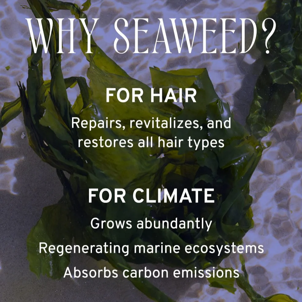 Golden Shimmer Sea Salt Spray - Image 5