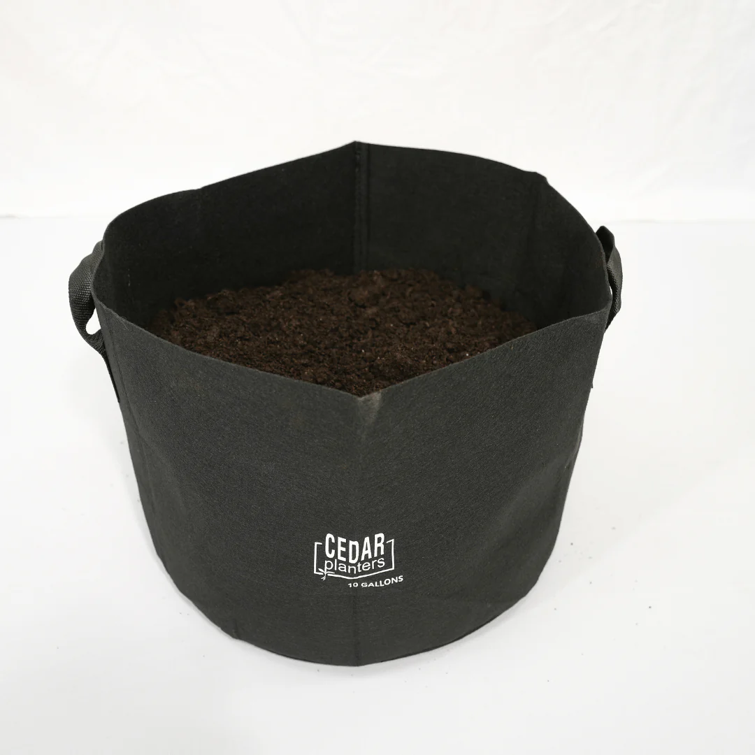 Grow Bag (10 Gallon) - Image 5