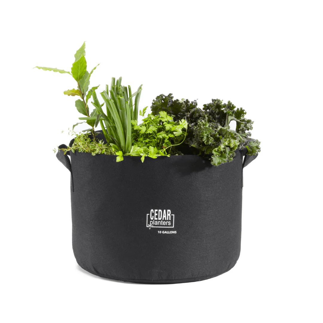 Grow Bag (10 Gallon) - Image 6
