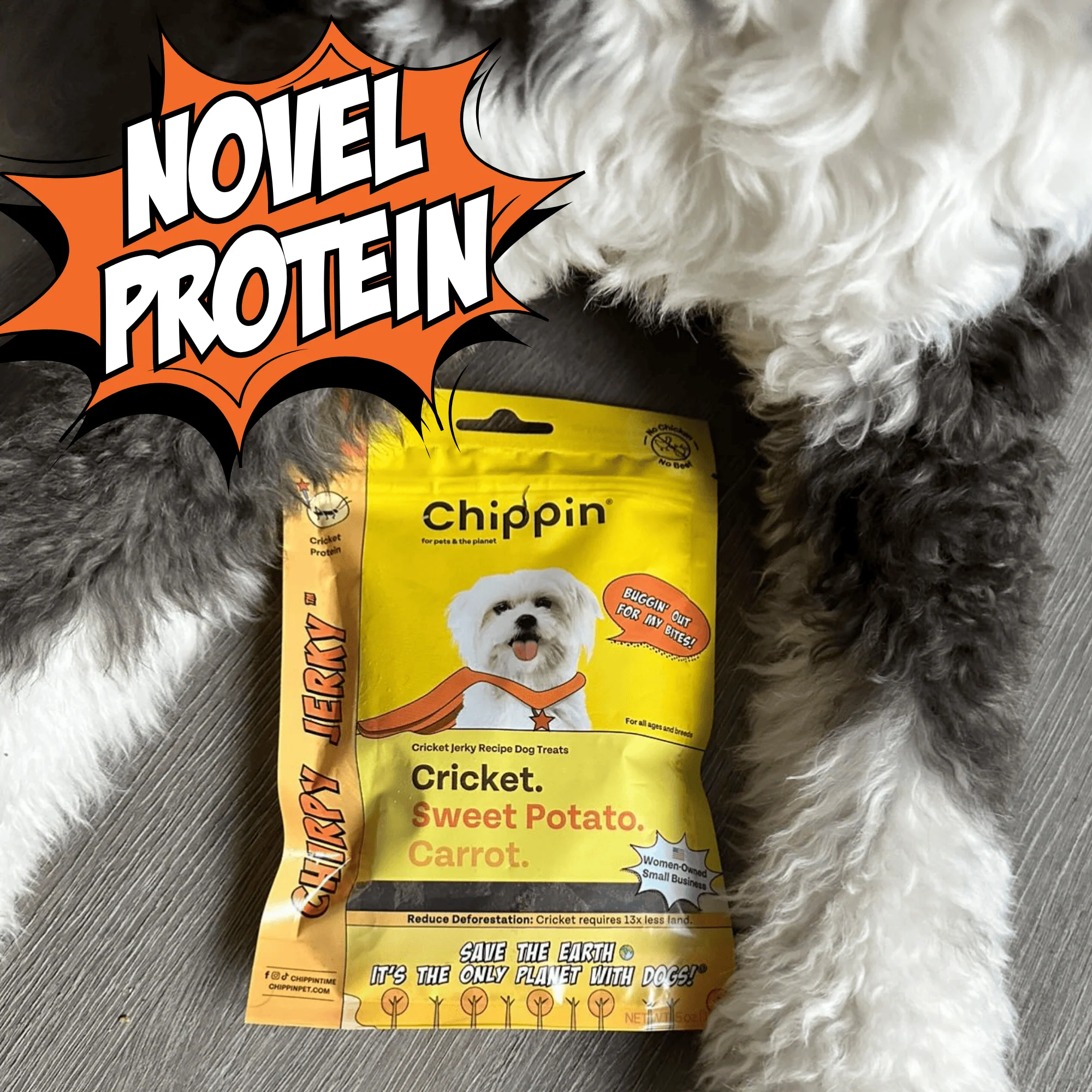 Gut-Healthy Dog Treat Variety Bundle - Image 3