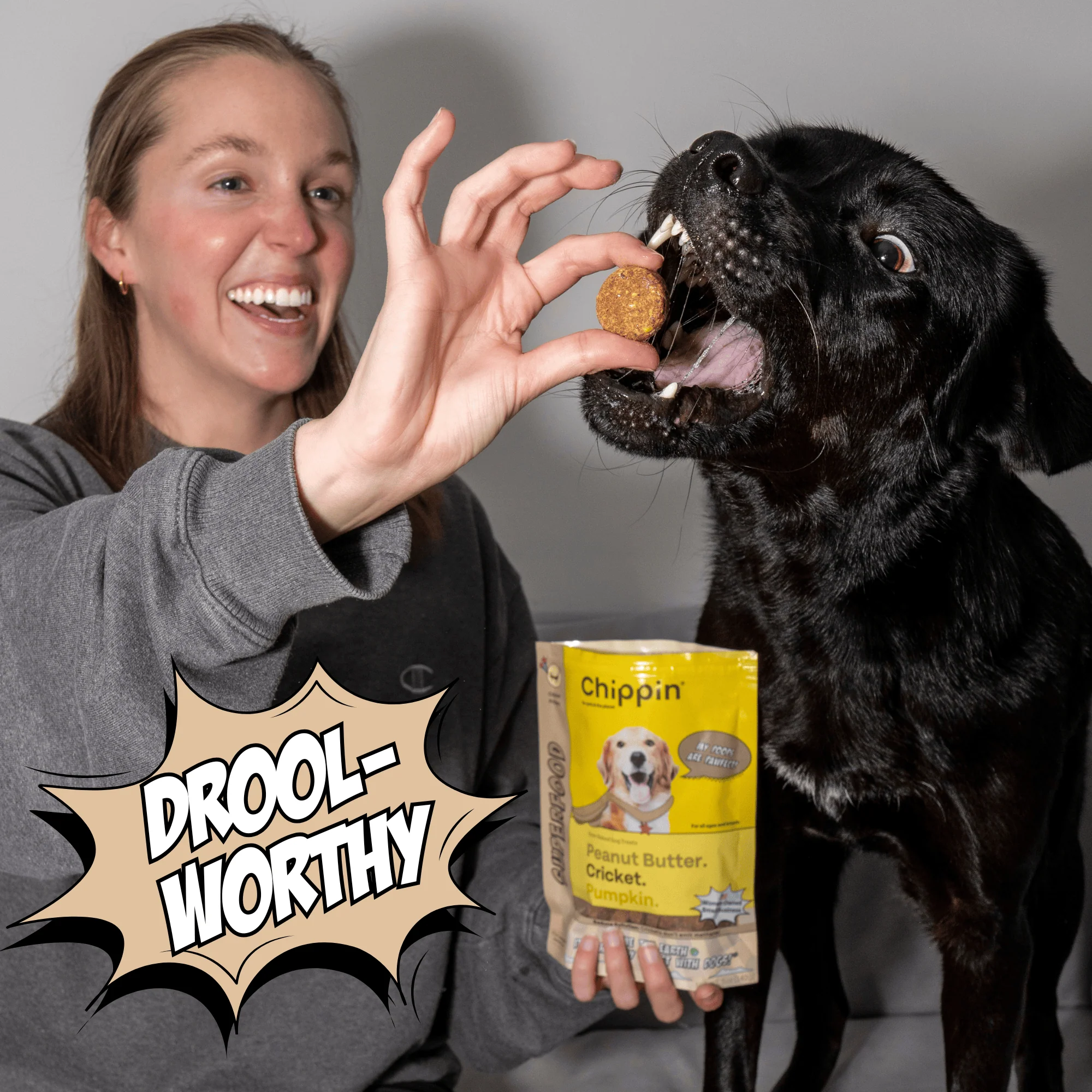 Gut-Healthy Dog Treat Variety Bundle - Image 4