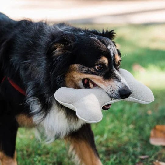 Plastic-Free Dog Bone- Small, Medium, or Large - Image 2