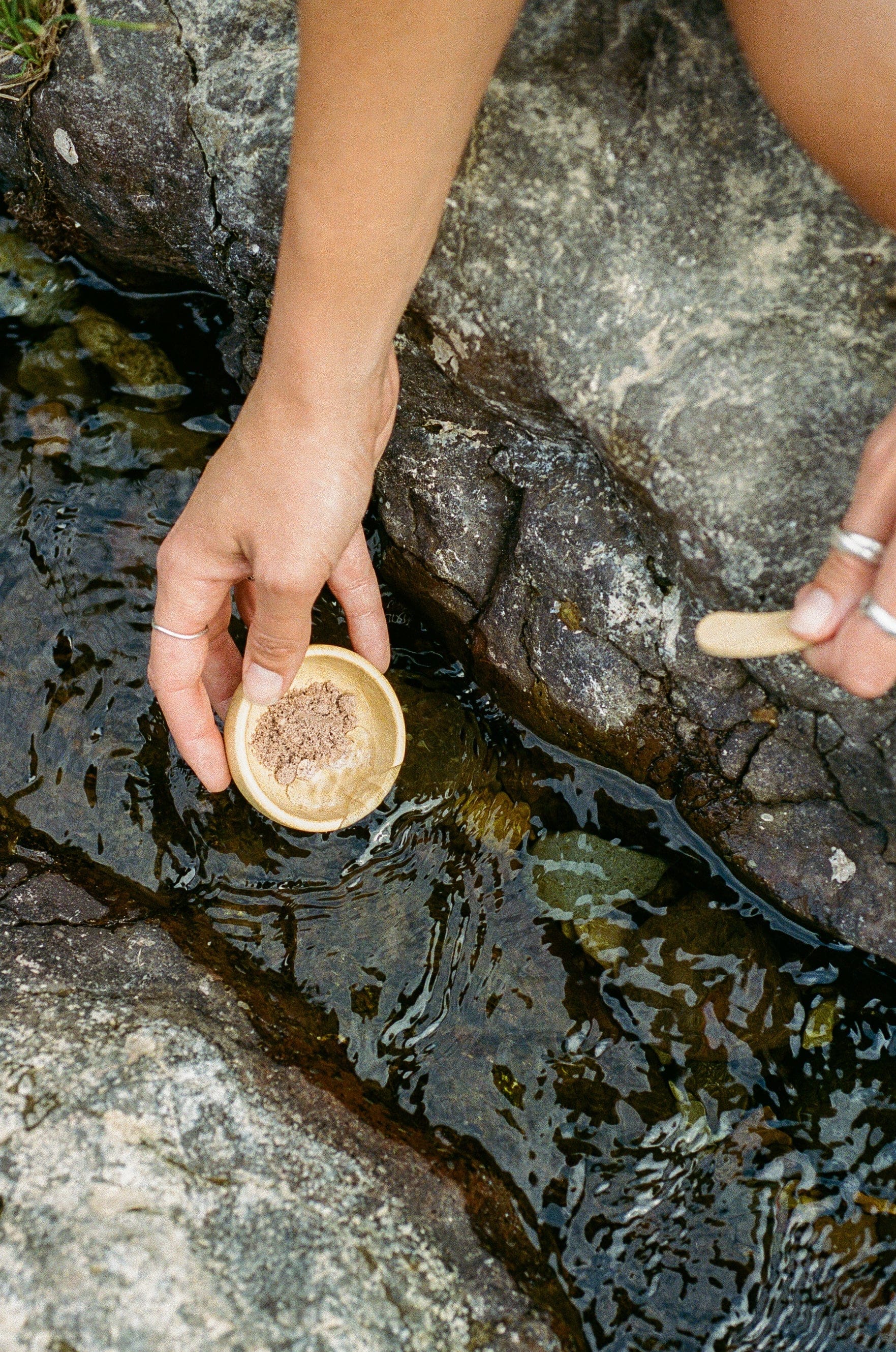 Hibiscus Facial Grains - Plastic Free Face Scrub, Mask, & Cleanser, All Skin Types - Image 3