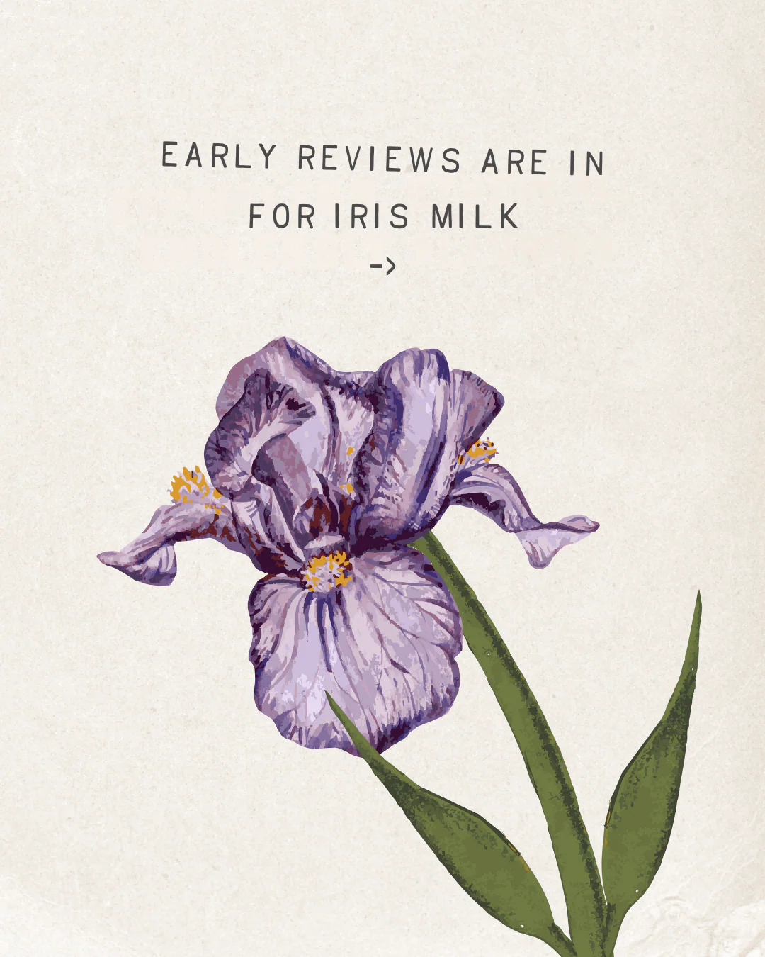 Iris Milk Fragrance - Image 13