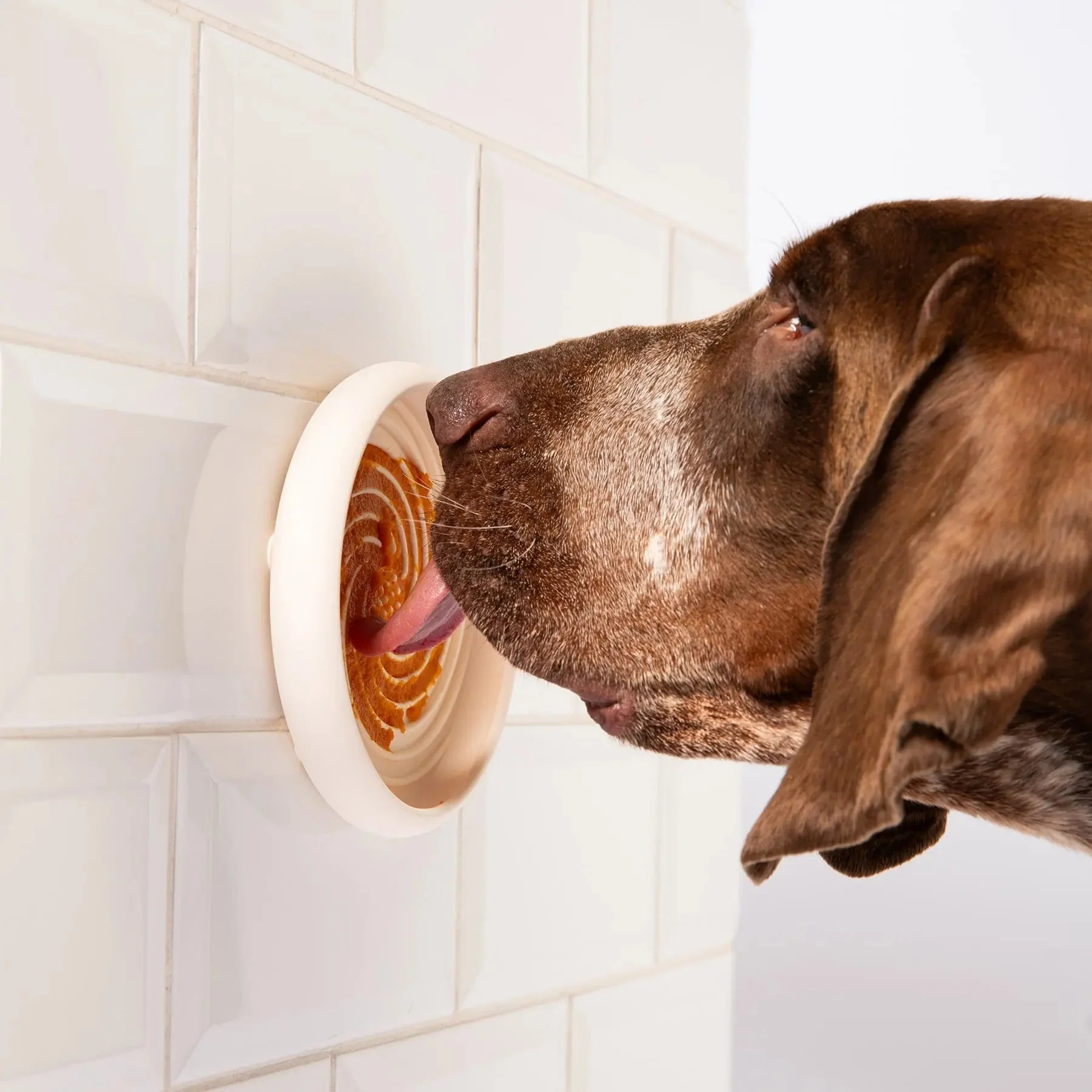 Lick Dish Slow Feeder For Dogs - Image 7