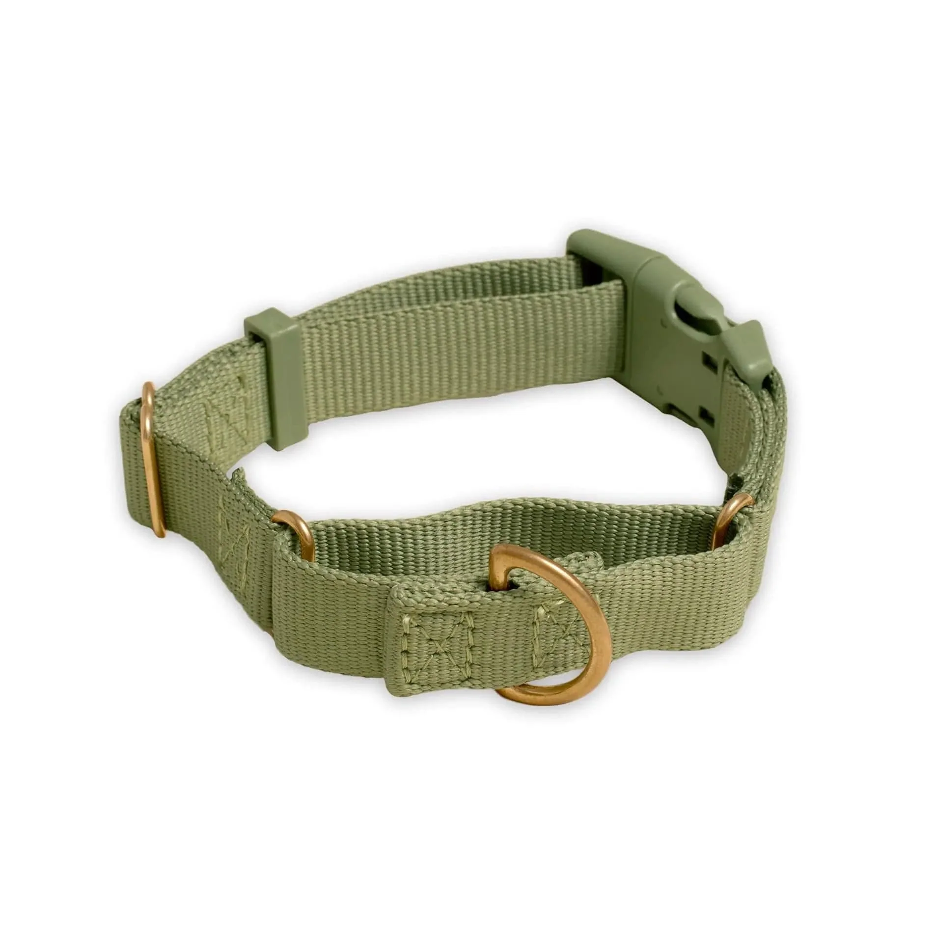 Marty Dog Collar - Image 12