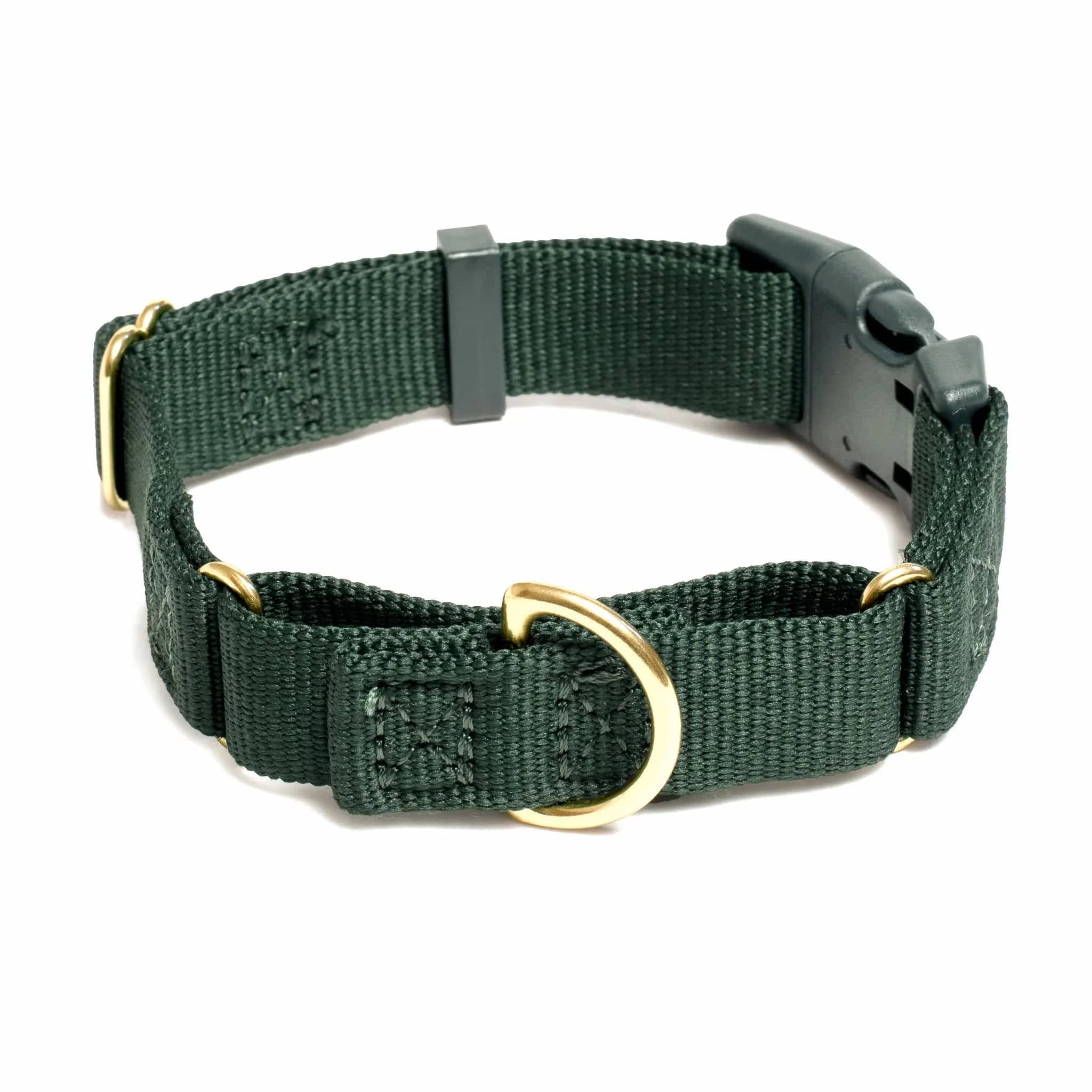 Marty Dog Collar - Image 13