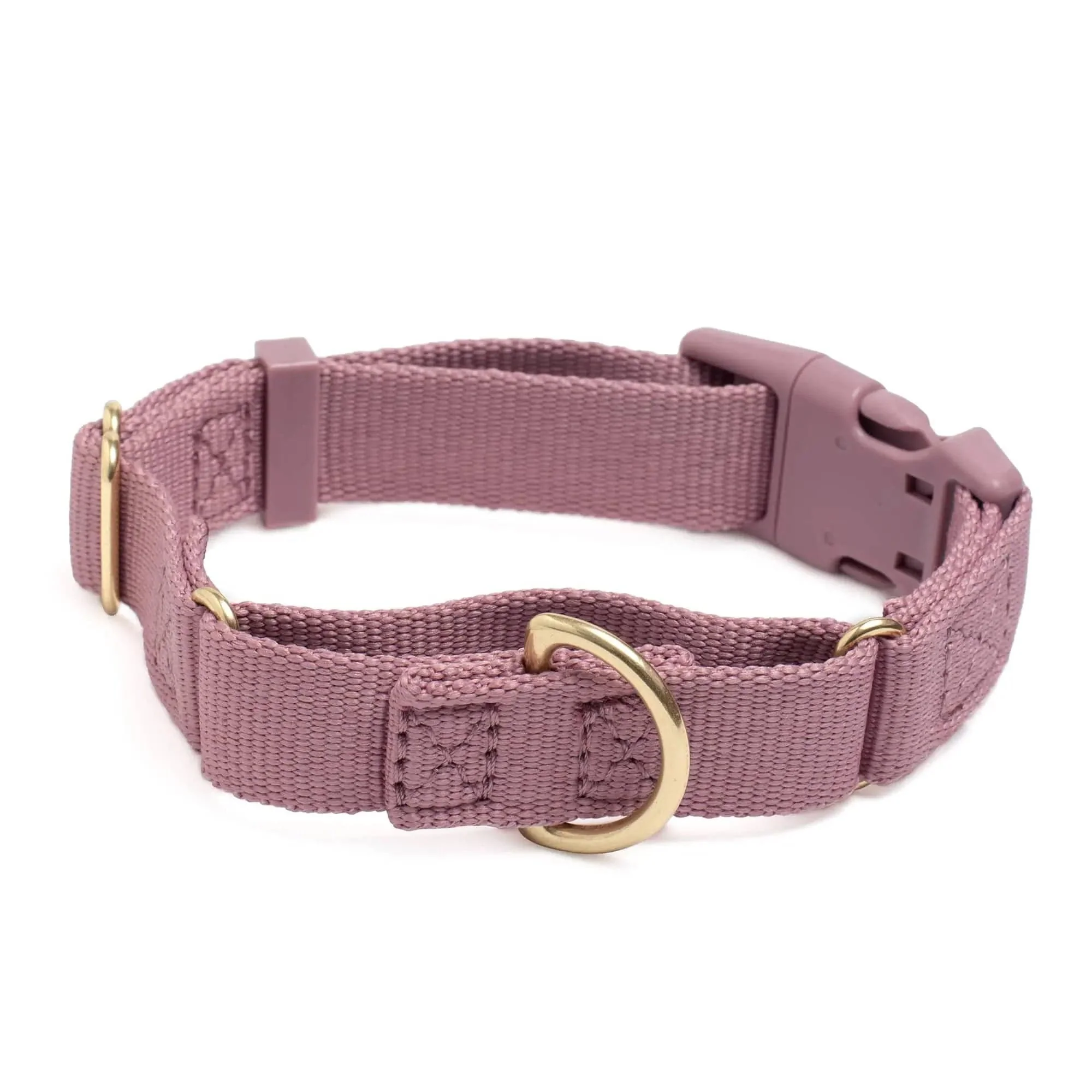 Marty Dog Collar - Image 15