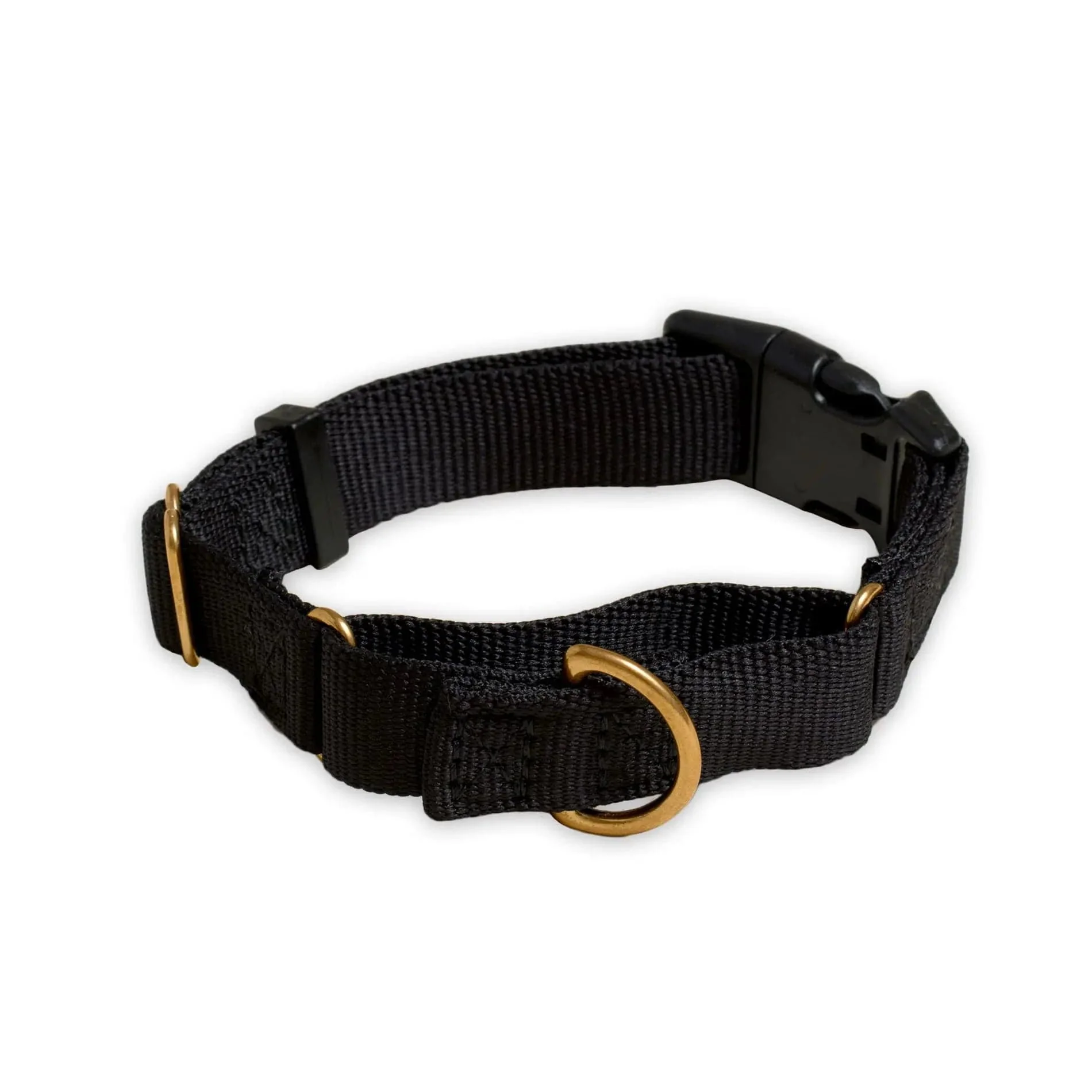Marty Dog Collar - Image 16