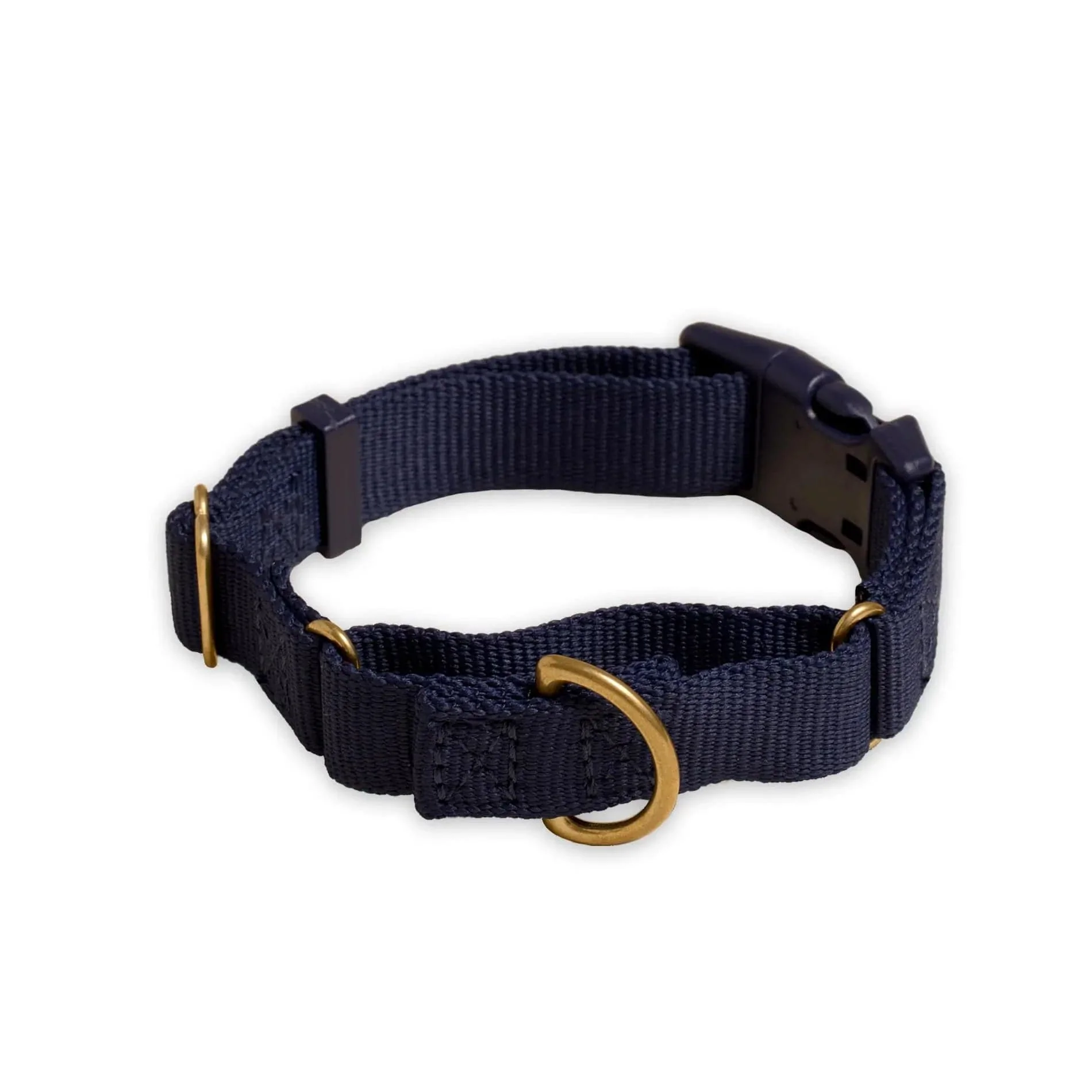 Marty Dog Collar - Image 17