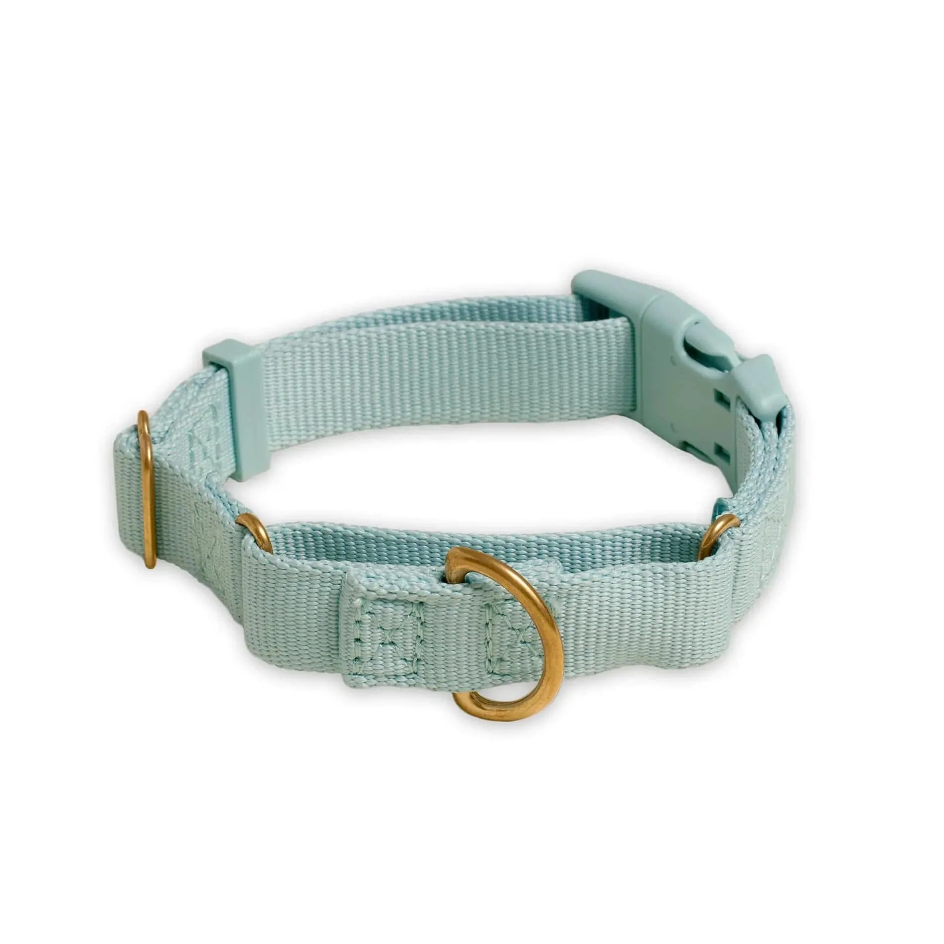 Marty Dog Collar - Image 18