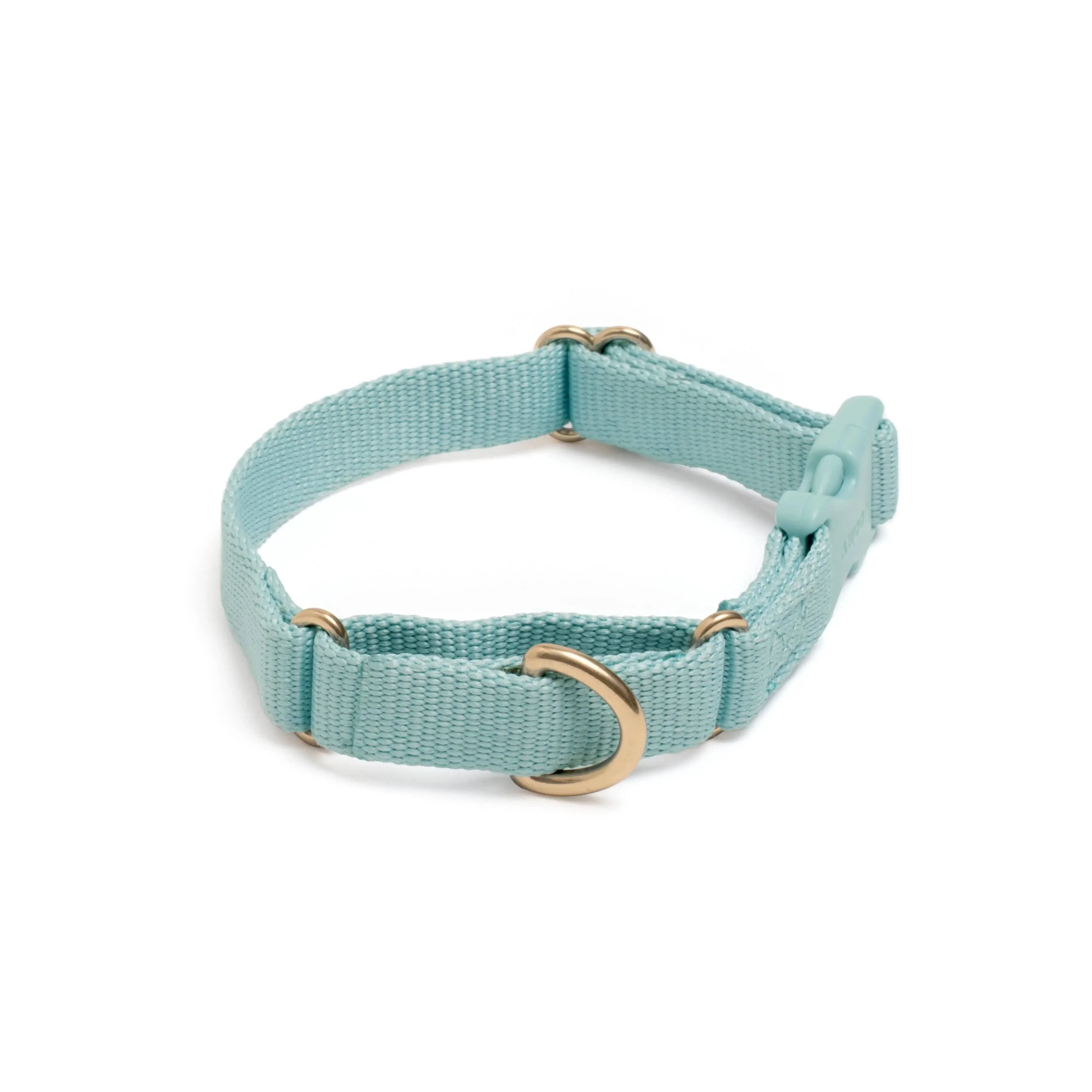 Marty Dog Collar - Image 19