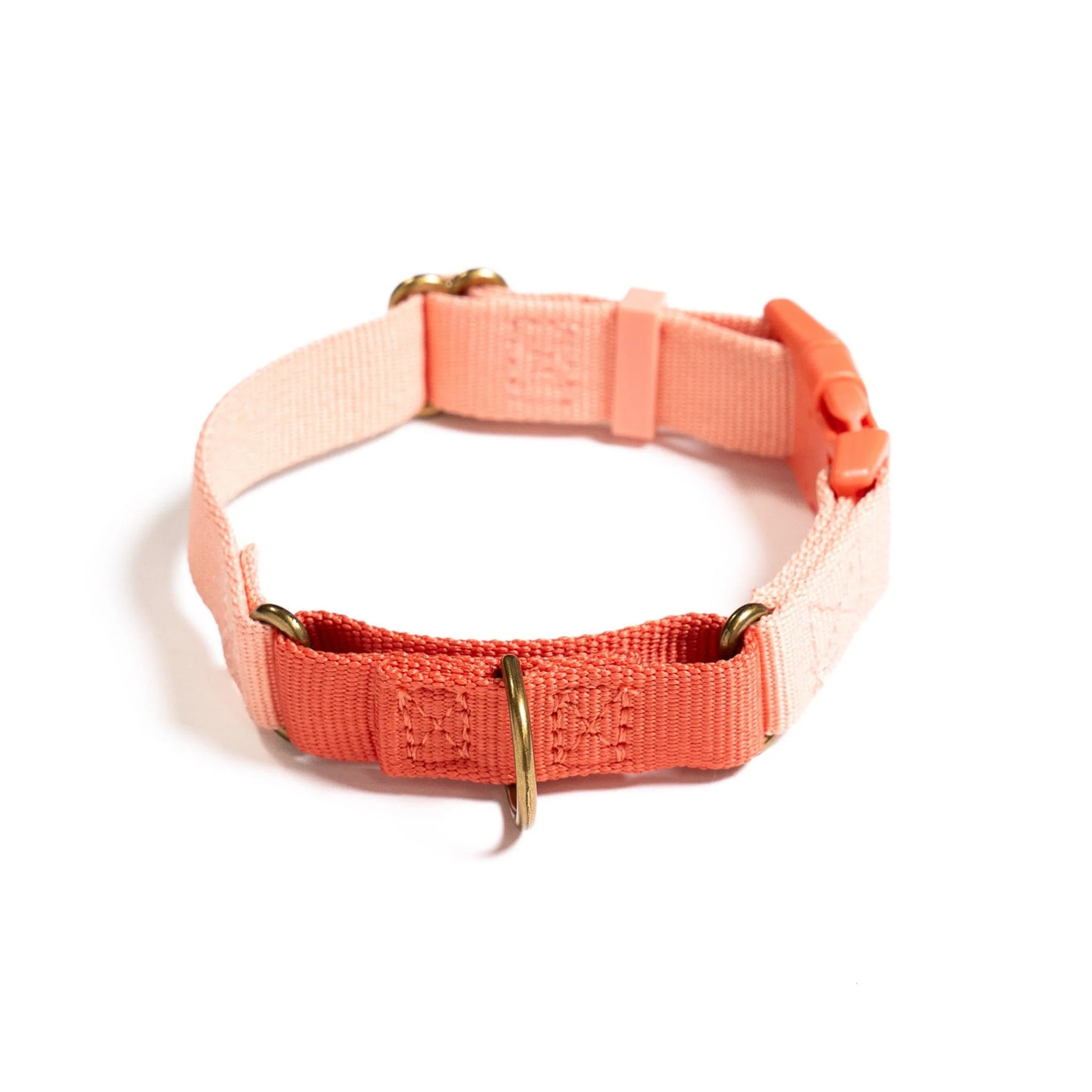 Marty Dog Collar - Image 2