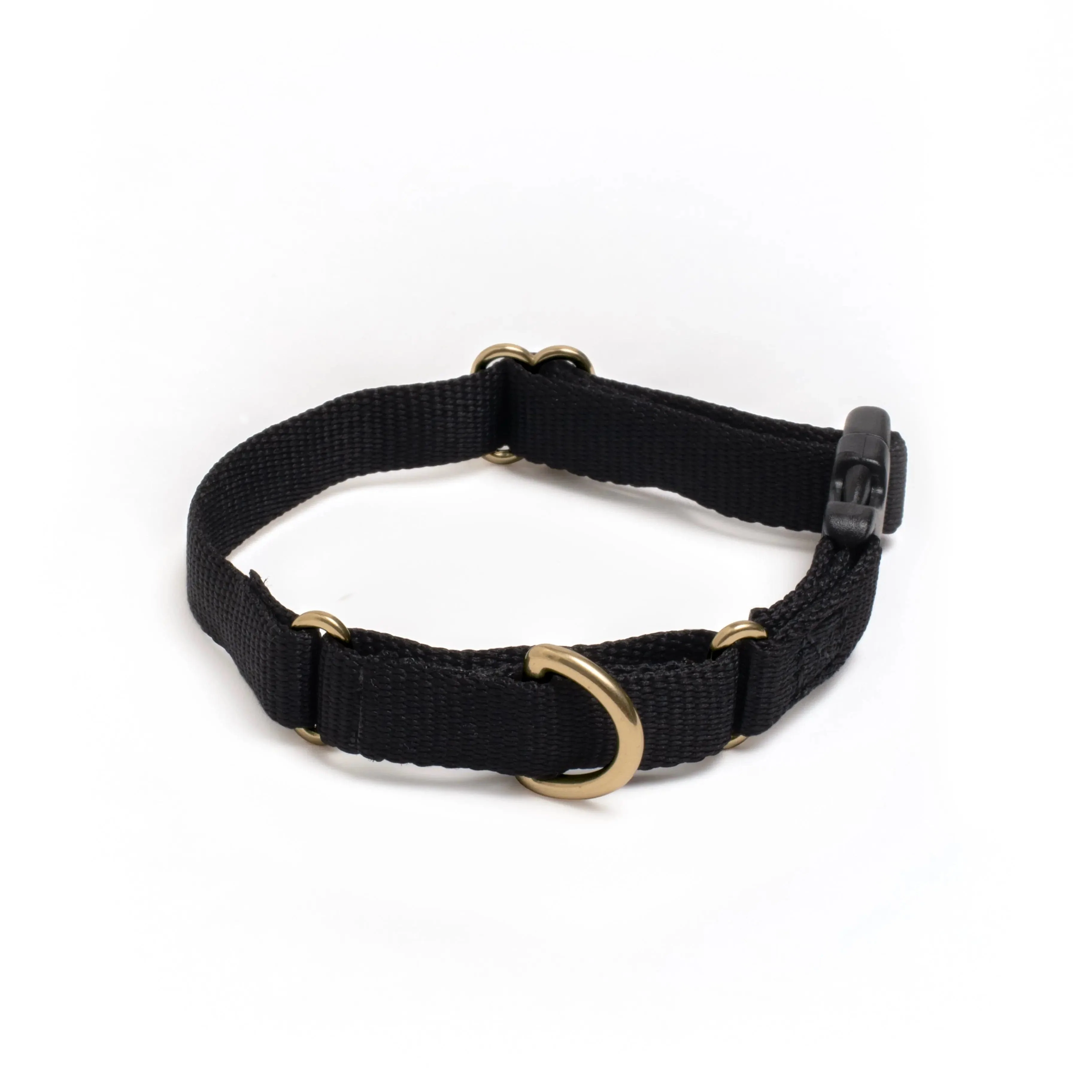 Marty Dog Collar - Image 20