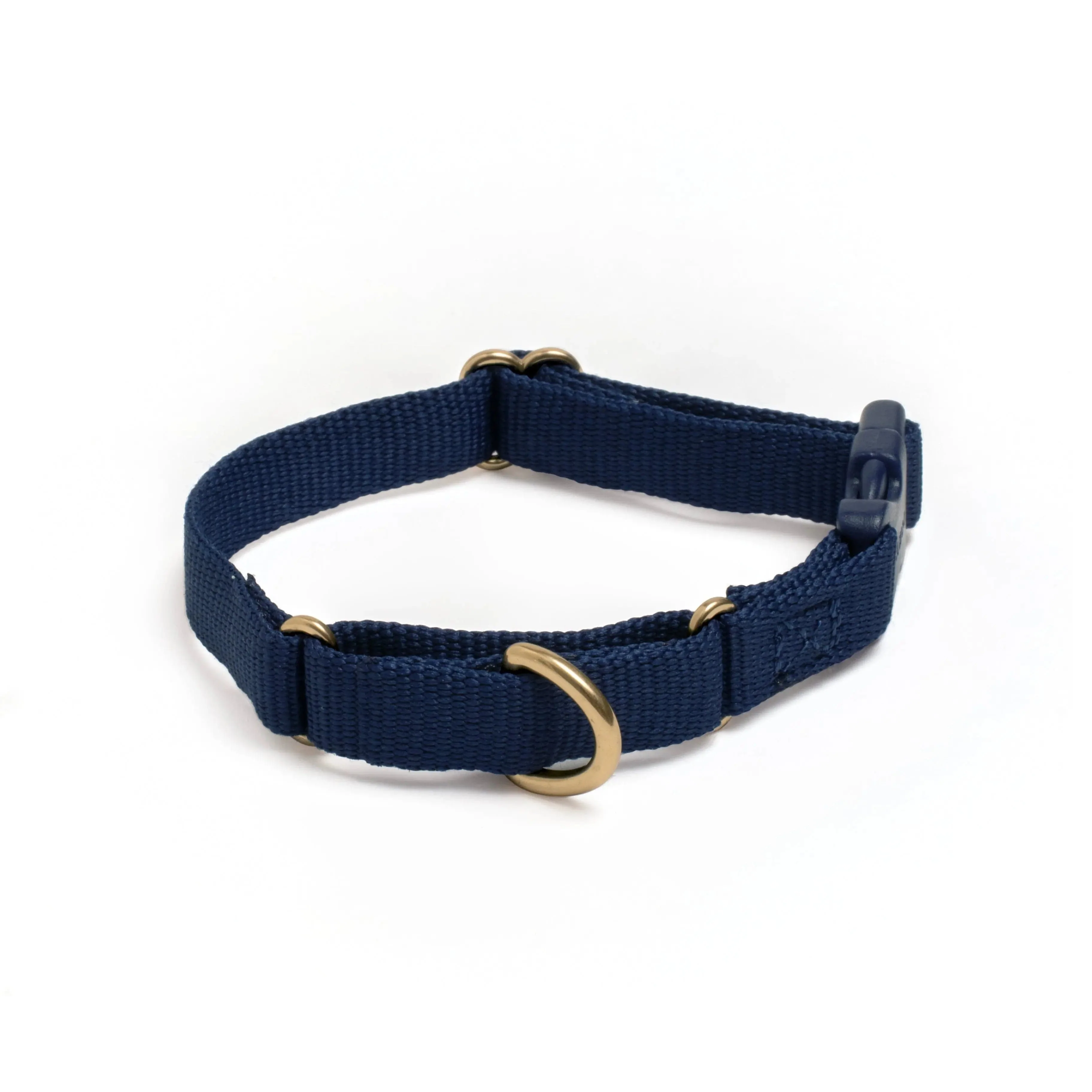 Marty Dog Collar - Image 21
