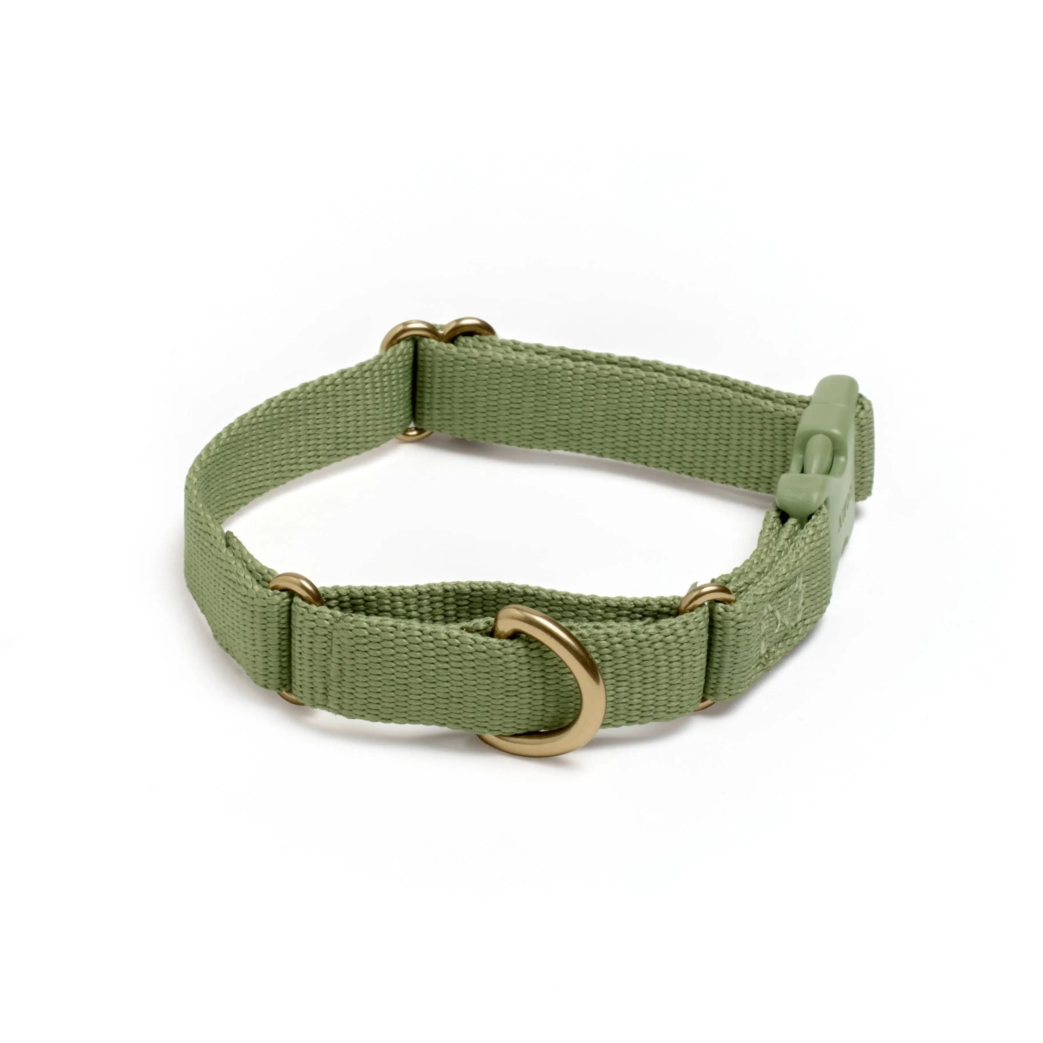 Marty Dog Collar - Image 22