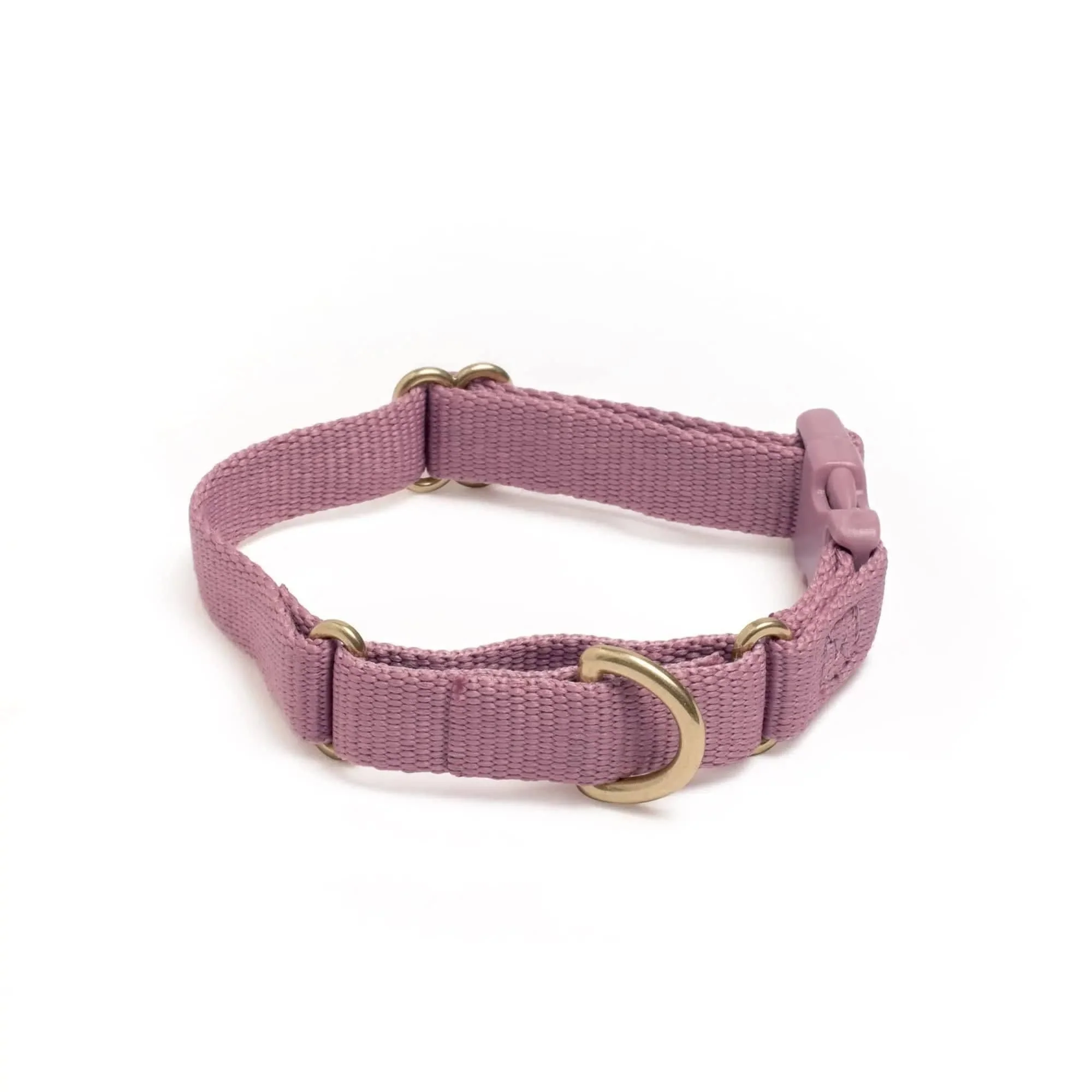 Marty Dog Collar - Image 23