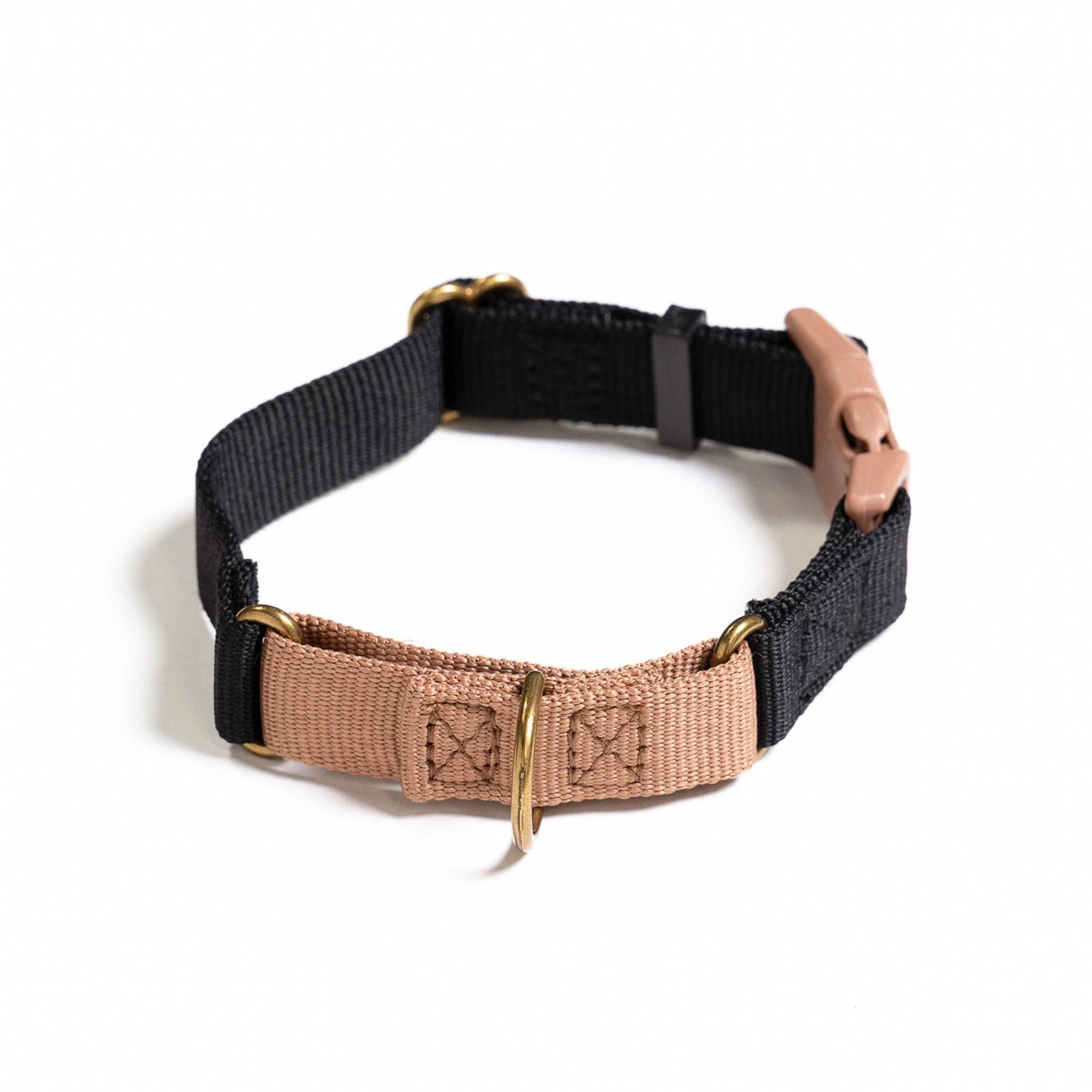 Marty Dog Collar - Image 3