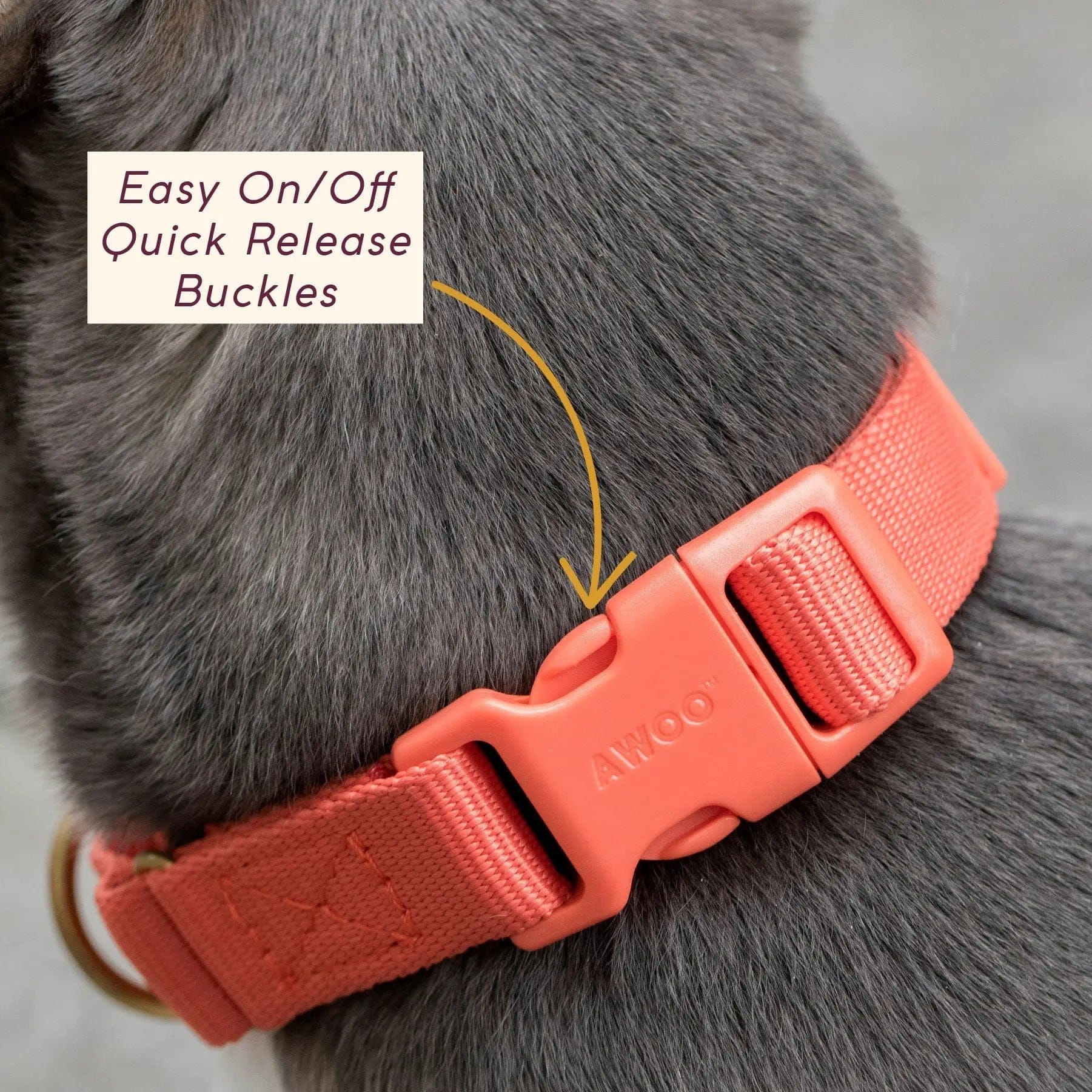 Marty Dog Collar - Image 7